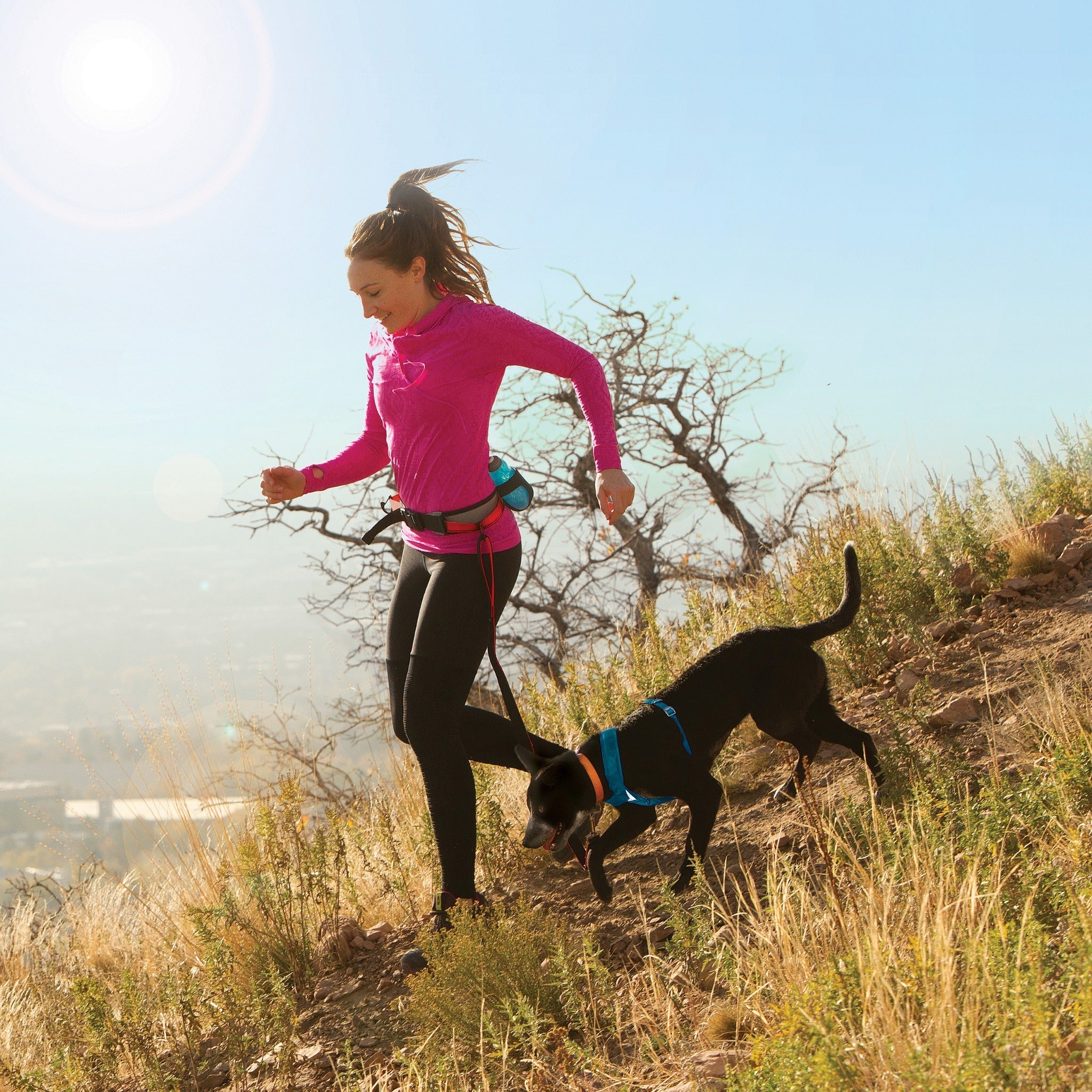 Kurgo Springback Leash, Hundeleine - Woofshack