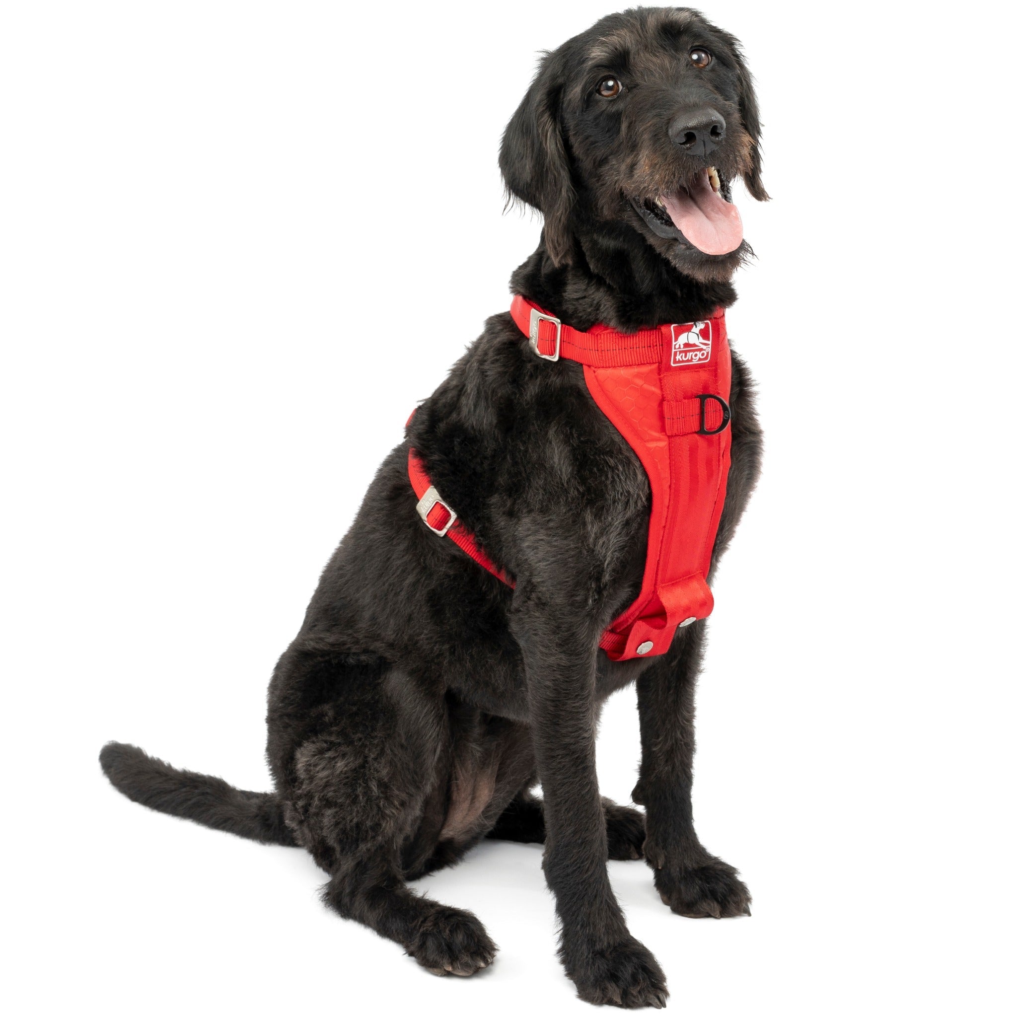 Kurgo tru fit harness canada hot sale