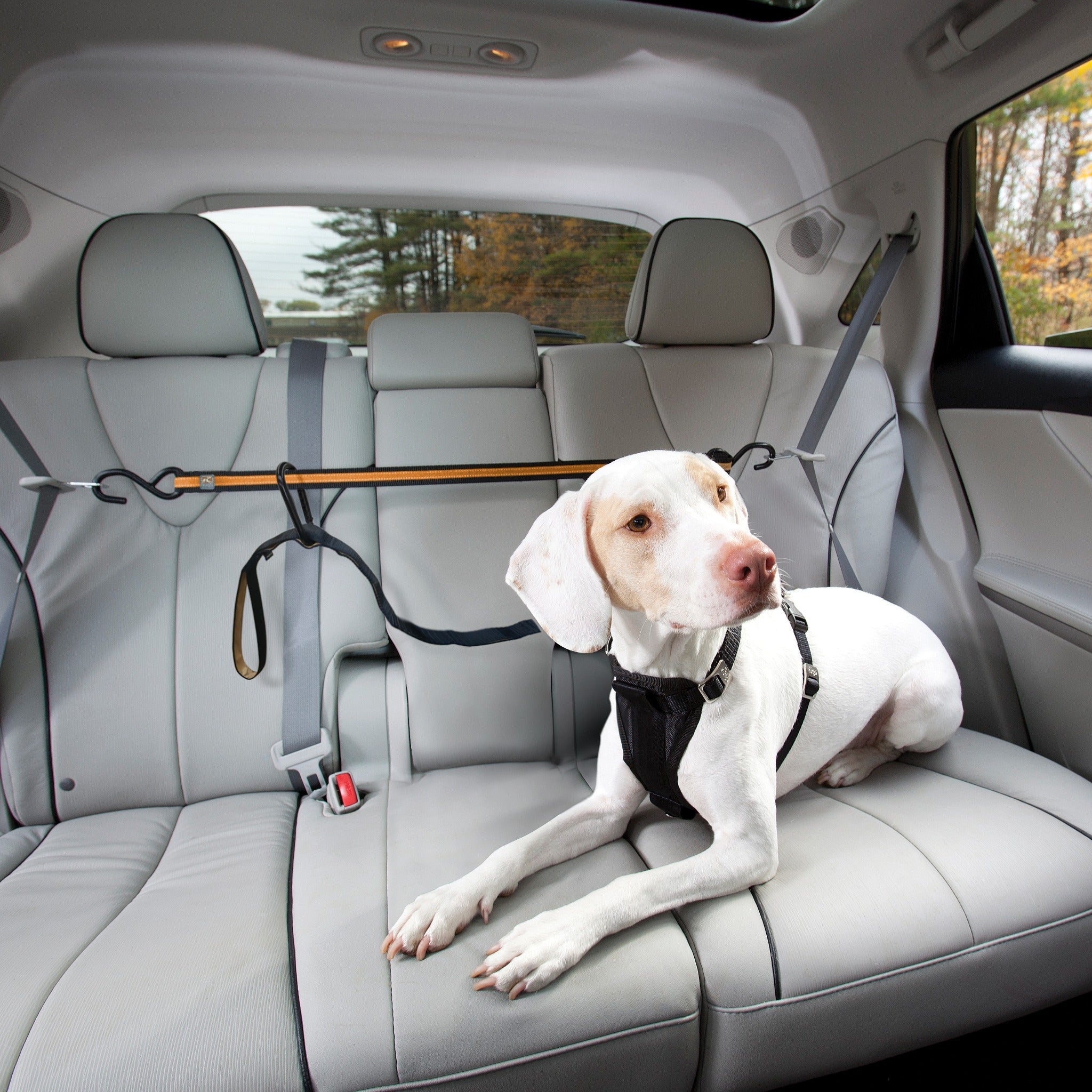 IOKHEIRA Hunde Sicherheitsgurt für Auto, Hundegurt fürs Auto