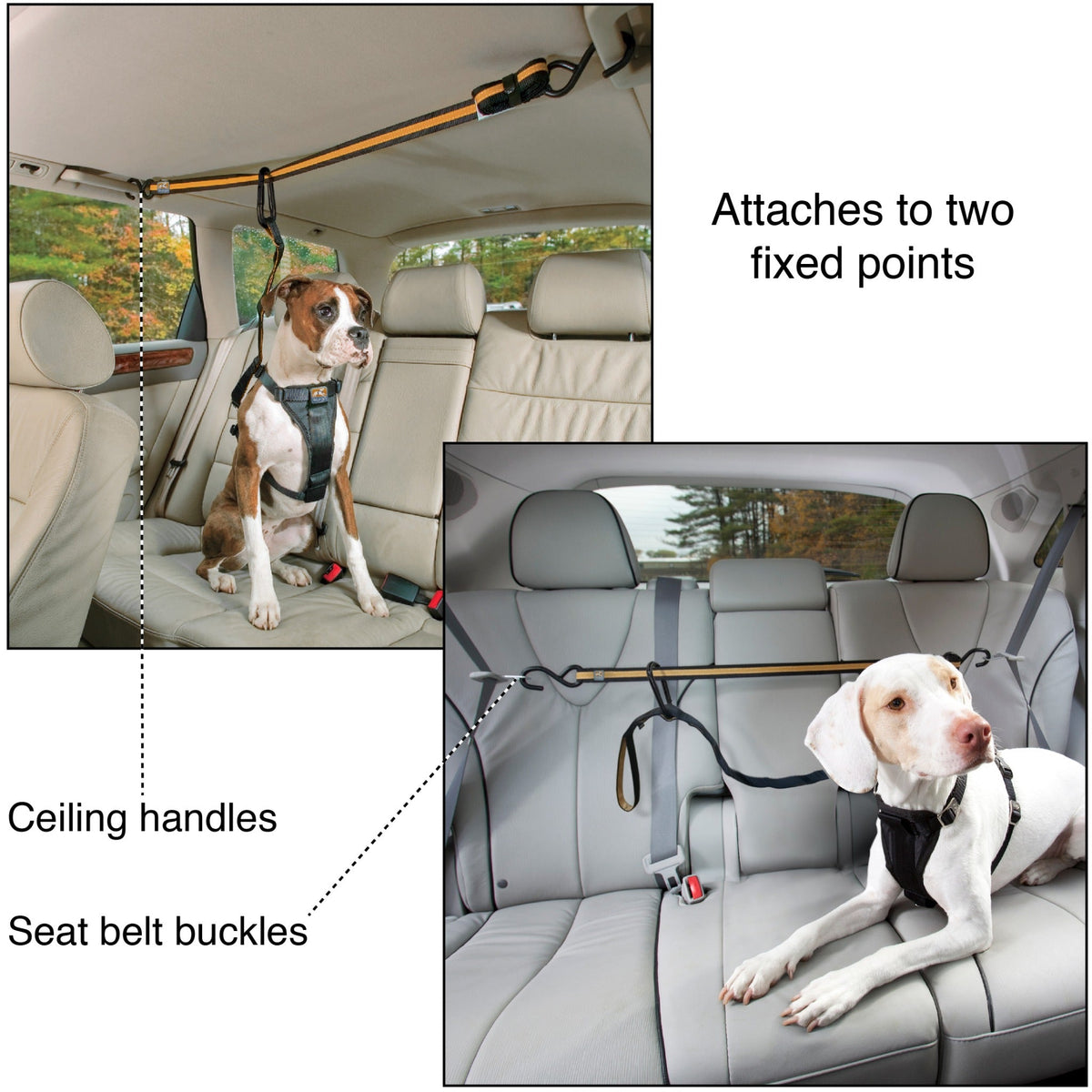 Kurgo Zip Line, Sicherheitsgurt für den Autotransport - Woofshack