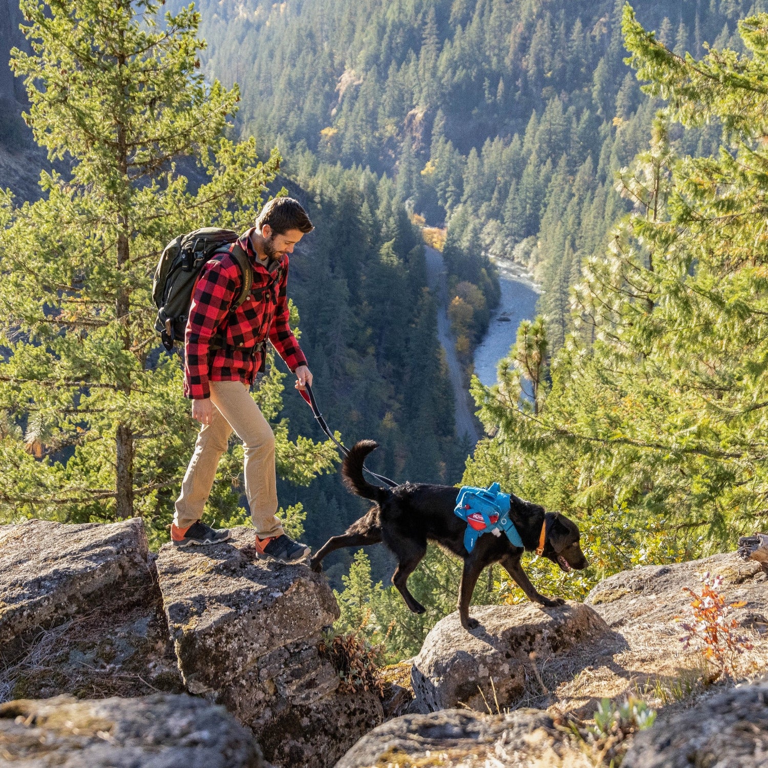 Kurgo Zippy Bowl, Hundenapf - Woofshack