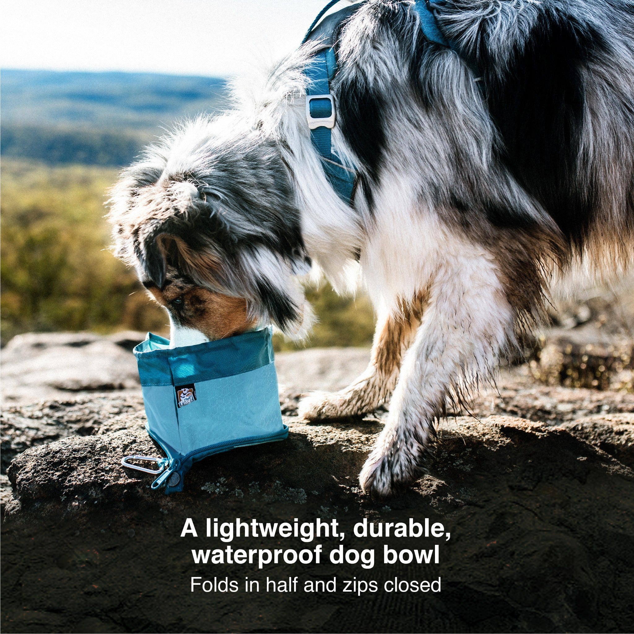 Kurgo Zippy Bowl, Hundenapf - Woofshack