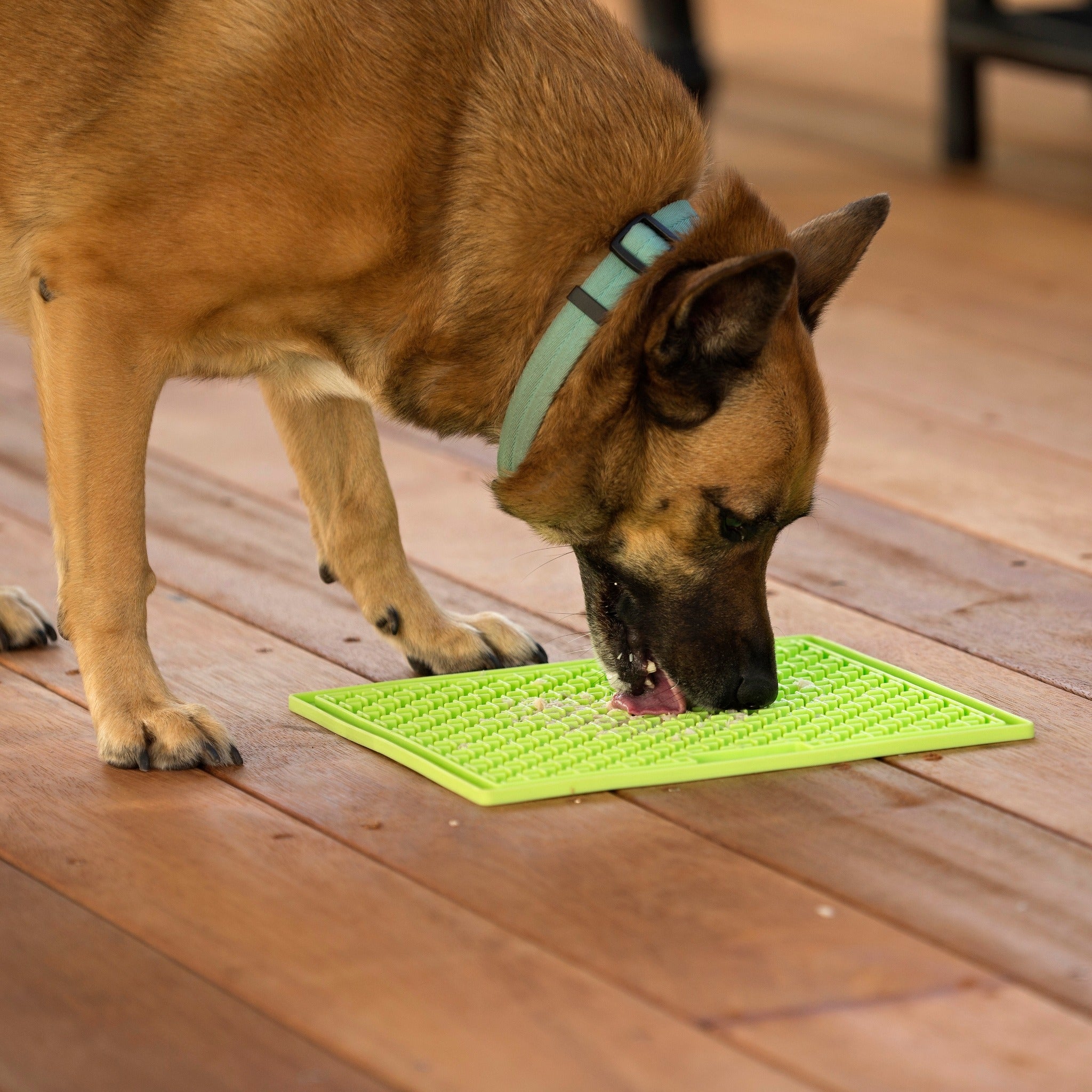 LickiMat Classic Buddy Large, Schleckmatte für Hunde - Woofshack