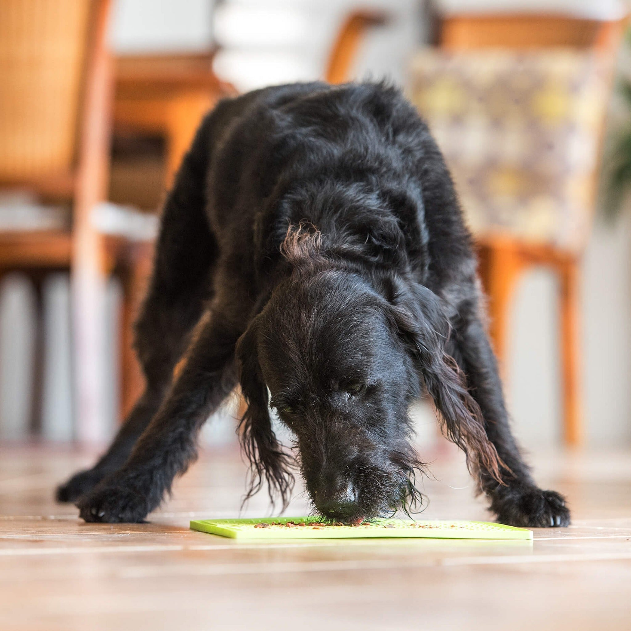 LickiMat Classic Buddy Large, Schleckmatte für Hunde - Woofshack
