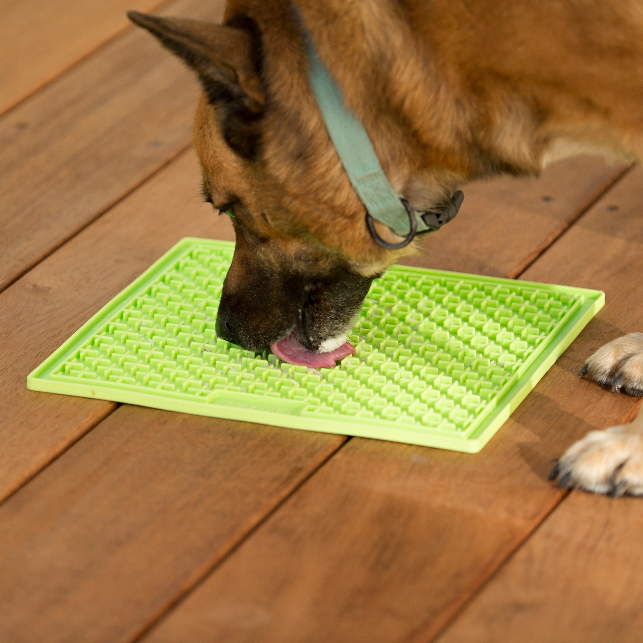 LickiMat Classic Buddy Large, Schleckmatte für Hunde - Woofshack
