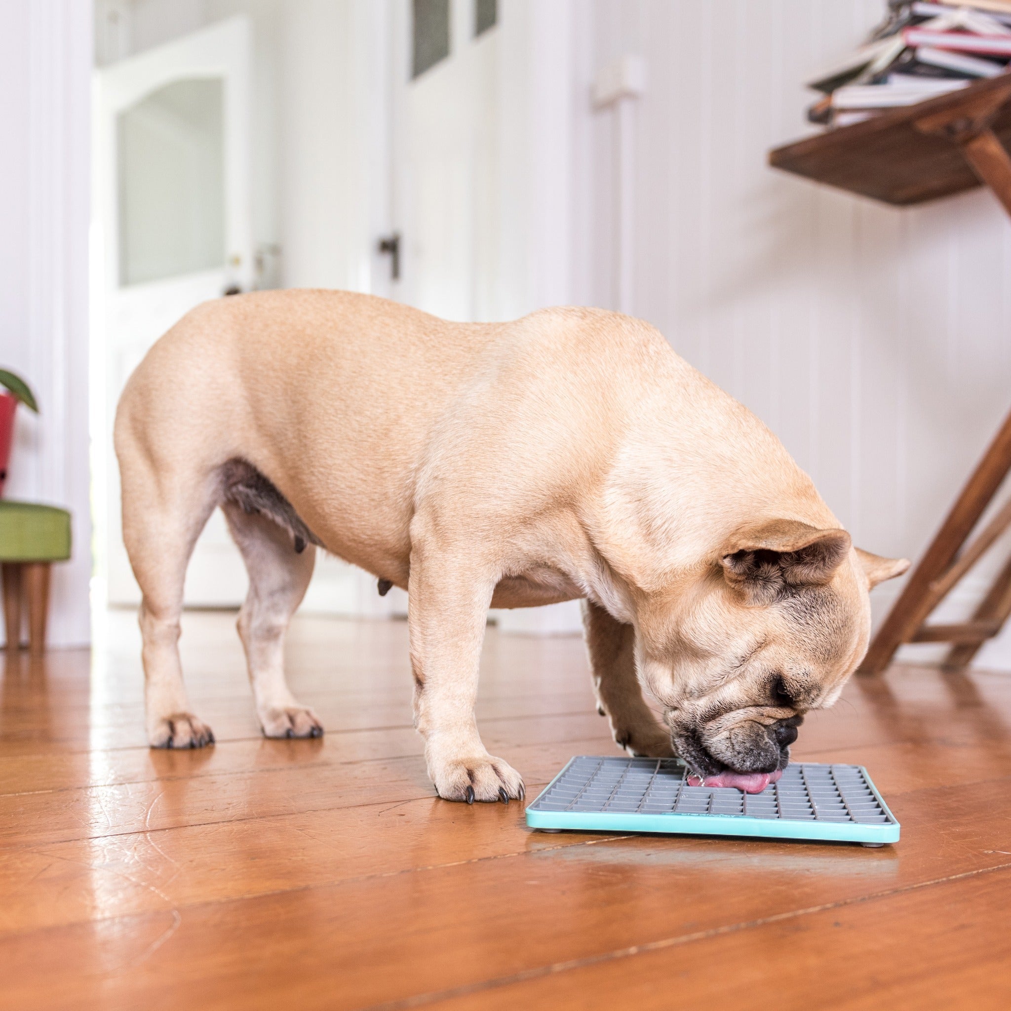 LickiMat Playdate Tuff, Schleckmatte für Hunde - Woofshack