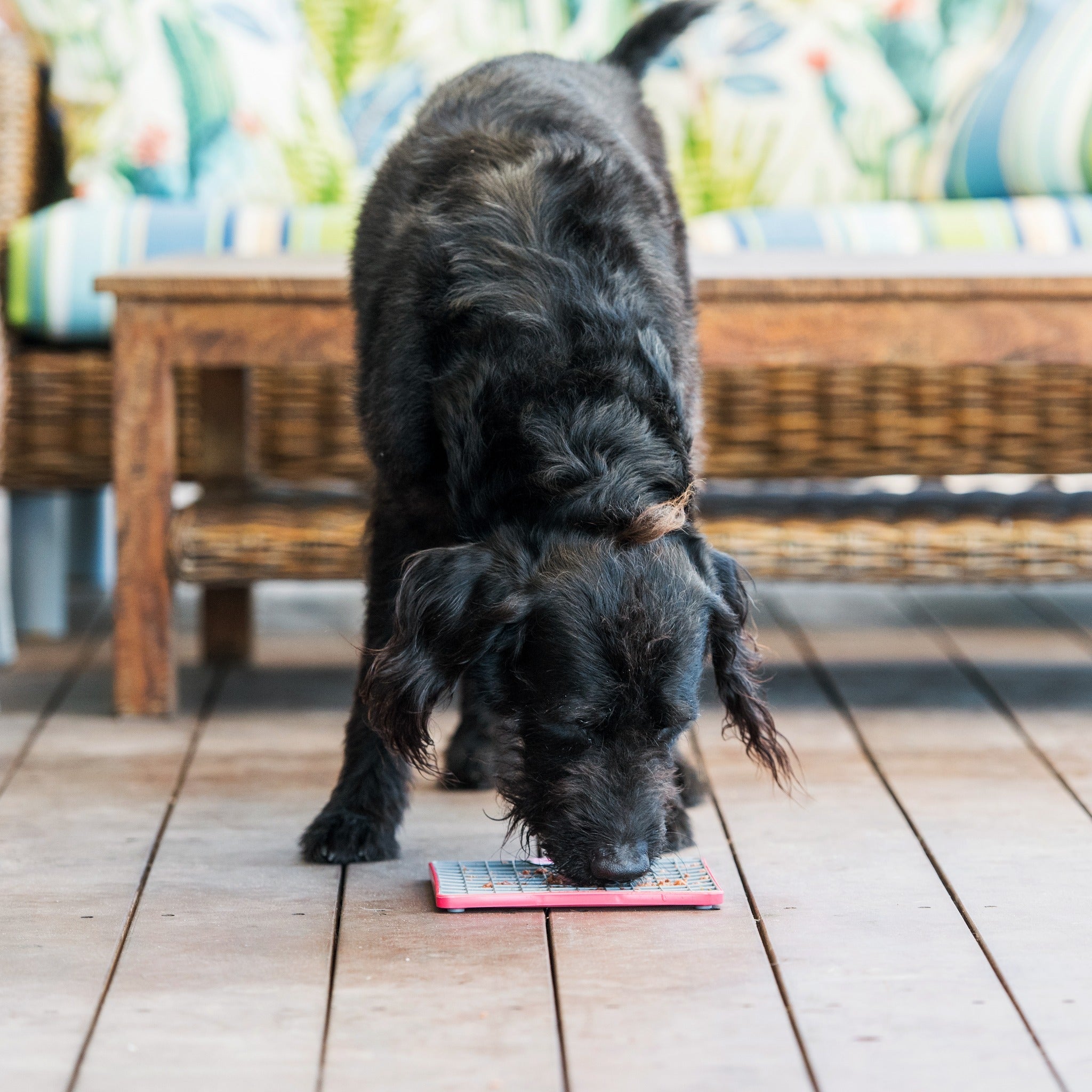 LickiMat Playdate Tuff, Schleckmatte für Hunde - Woofshack