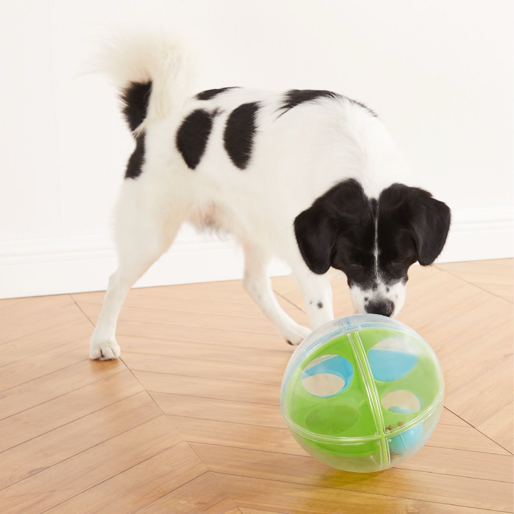 Nina Ottosson A-Maze Ball, Intelligenzspielzeug - Woofshack