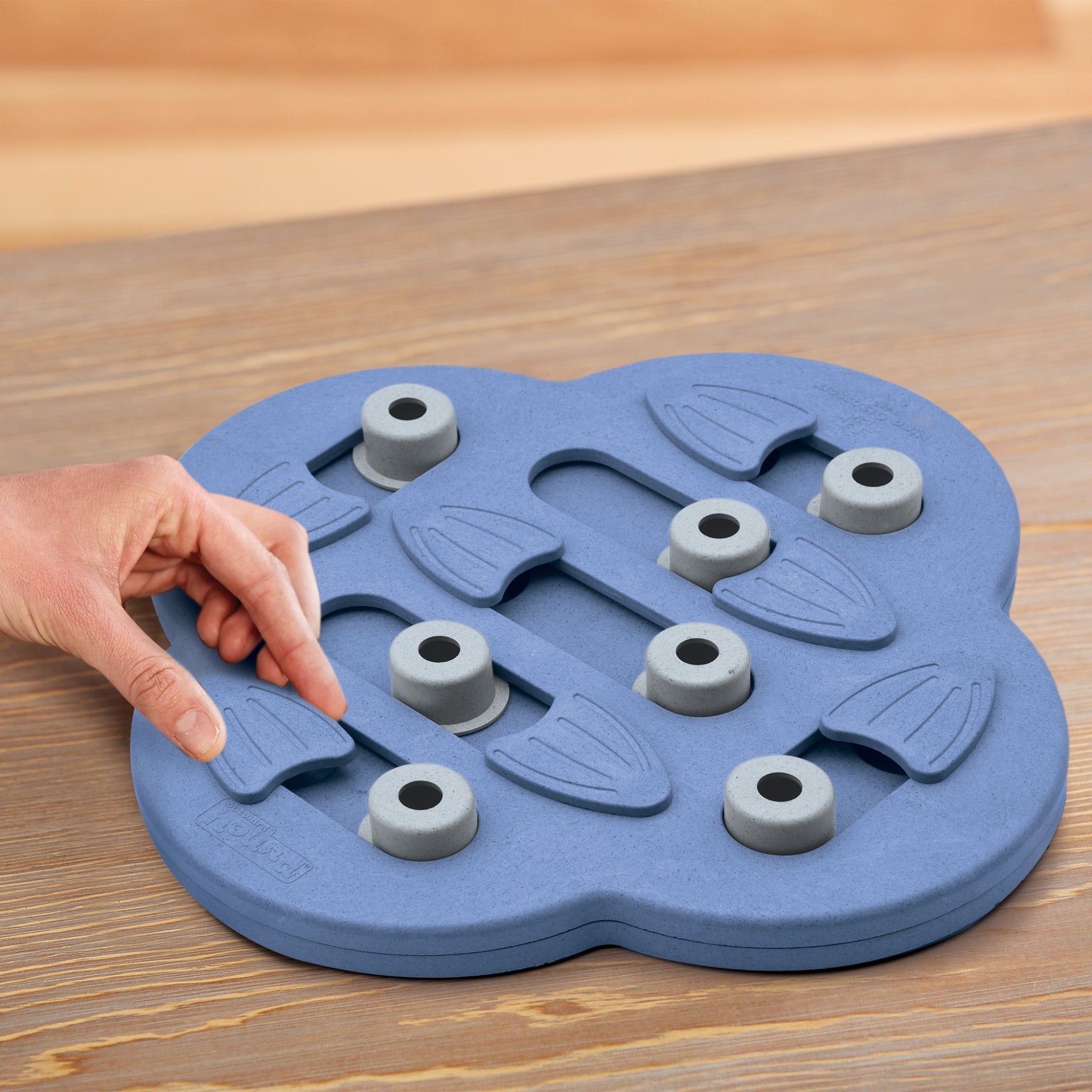 Nina Ottosson Dog Hide N&