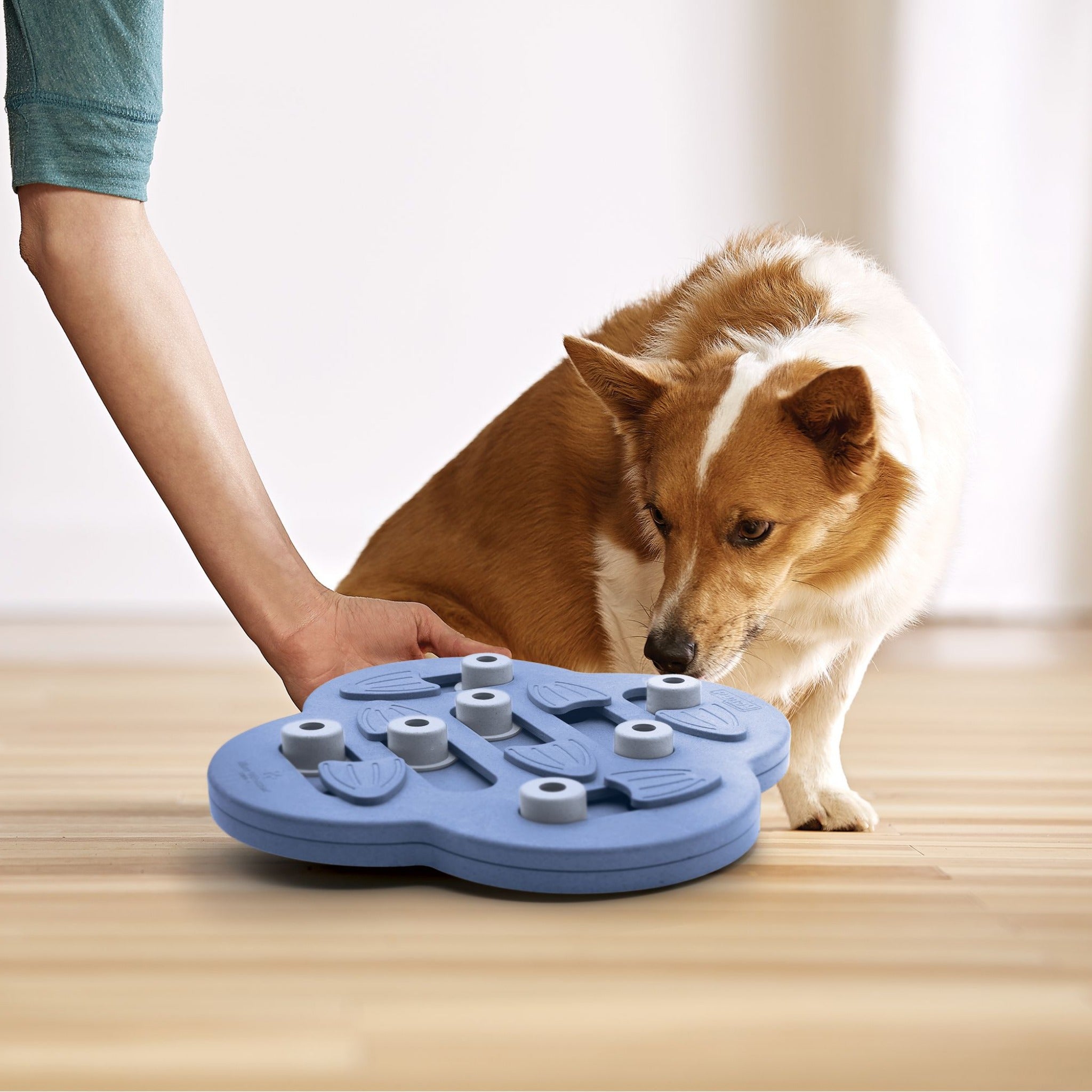 Nina Ottosson Dog Hide N&