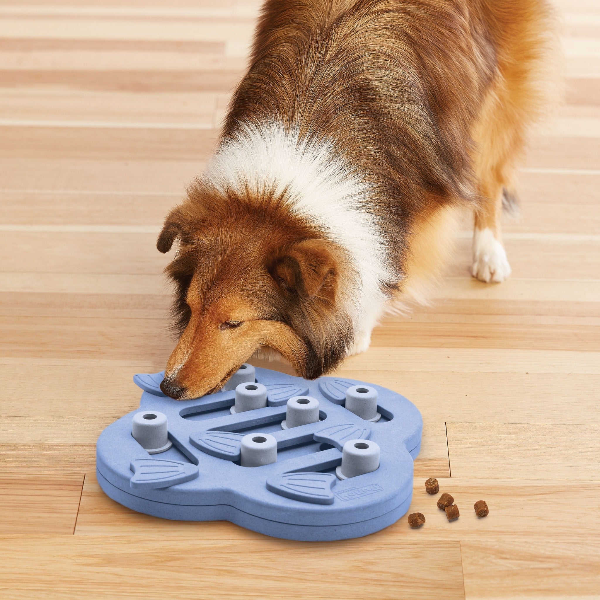 Nina Ottosson Dog Hide N&