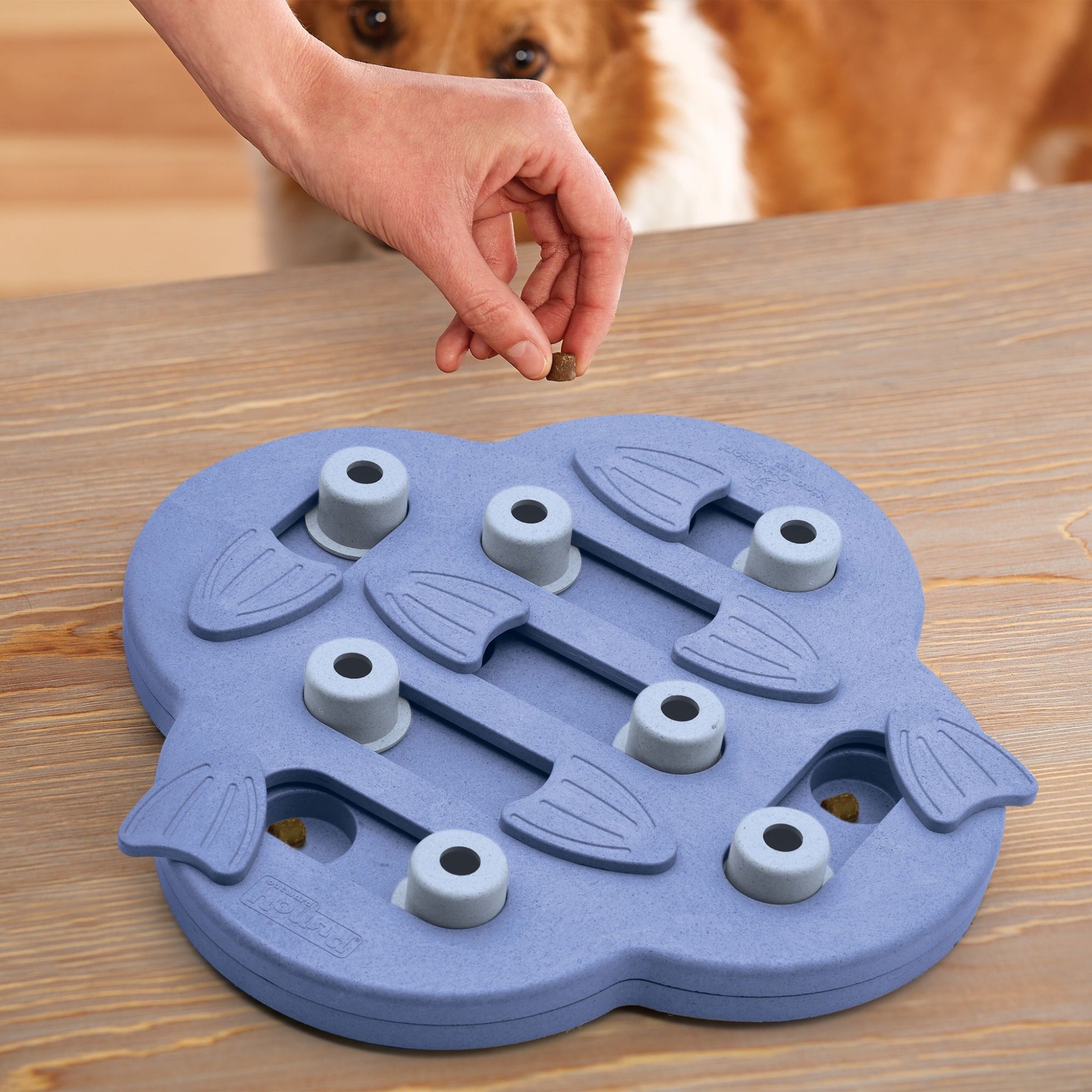 Nina Ottosson Dog Hide N&