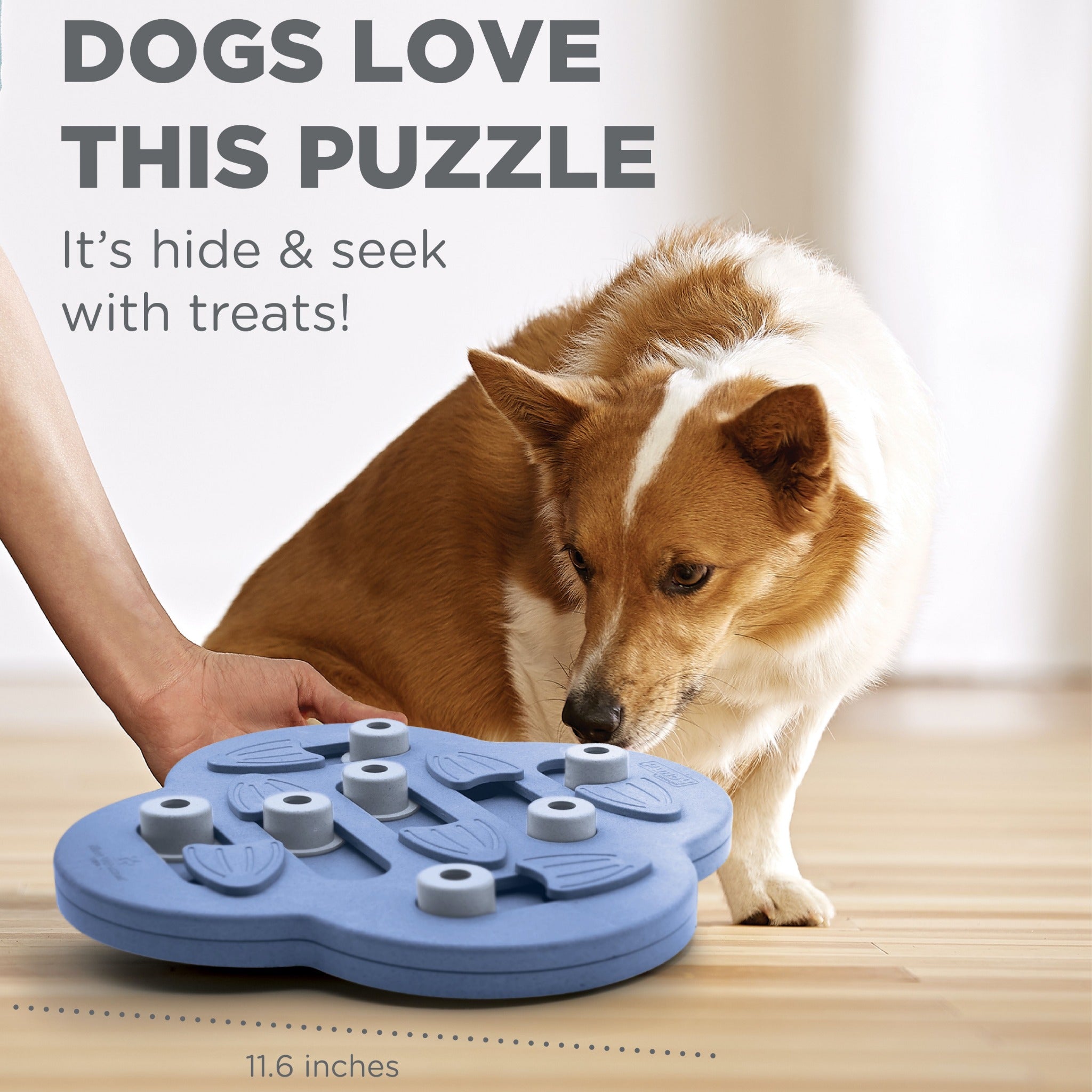 Nina Ottosson Dog Hide N&