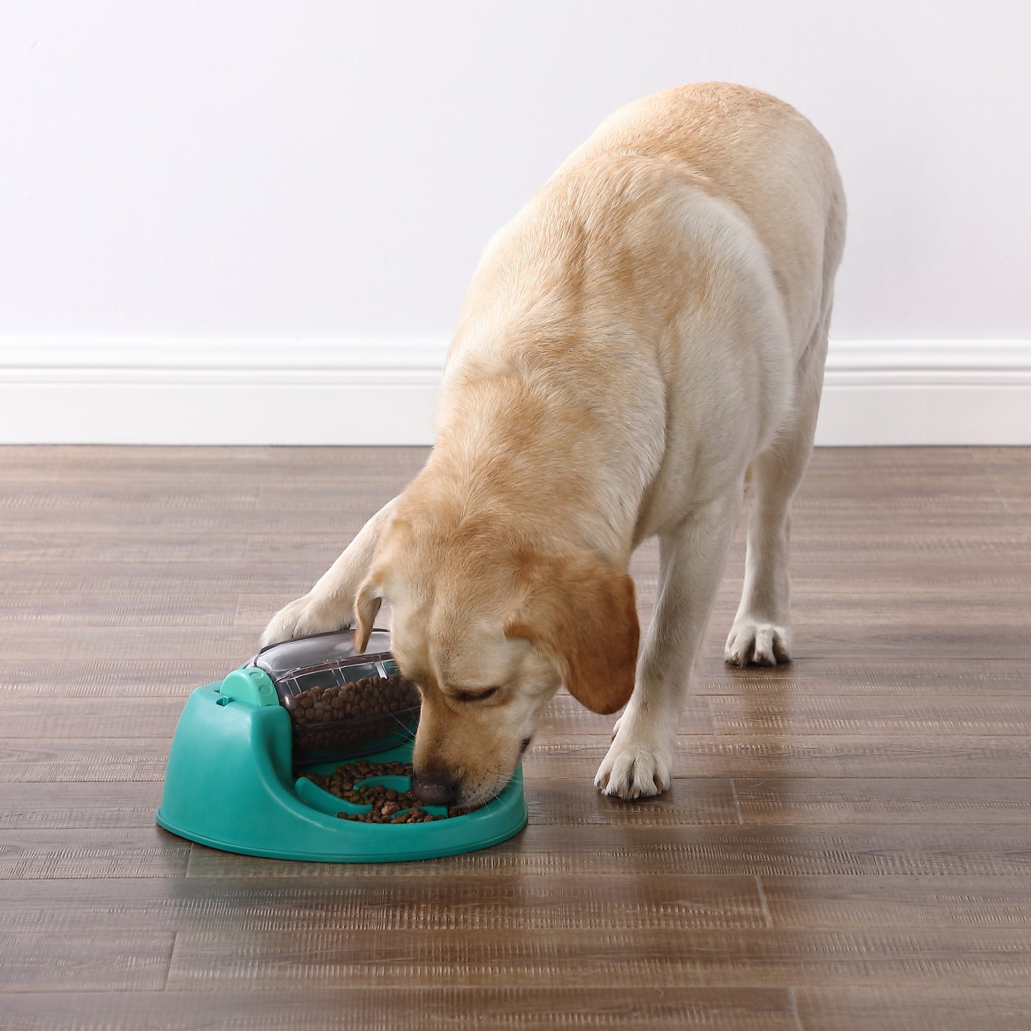 Nina Ottosson Dog Spin N&