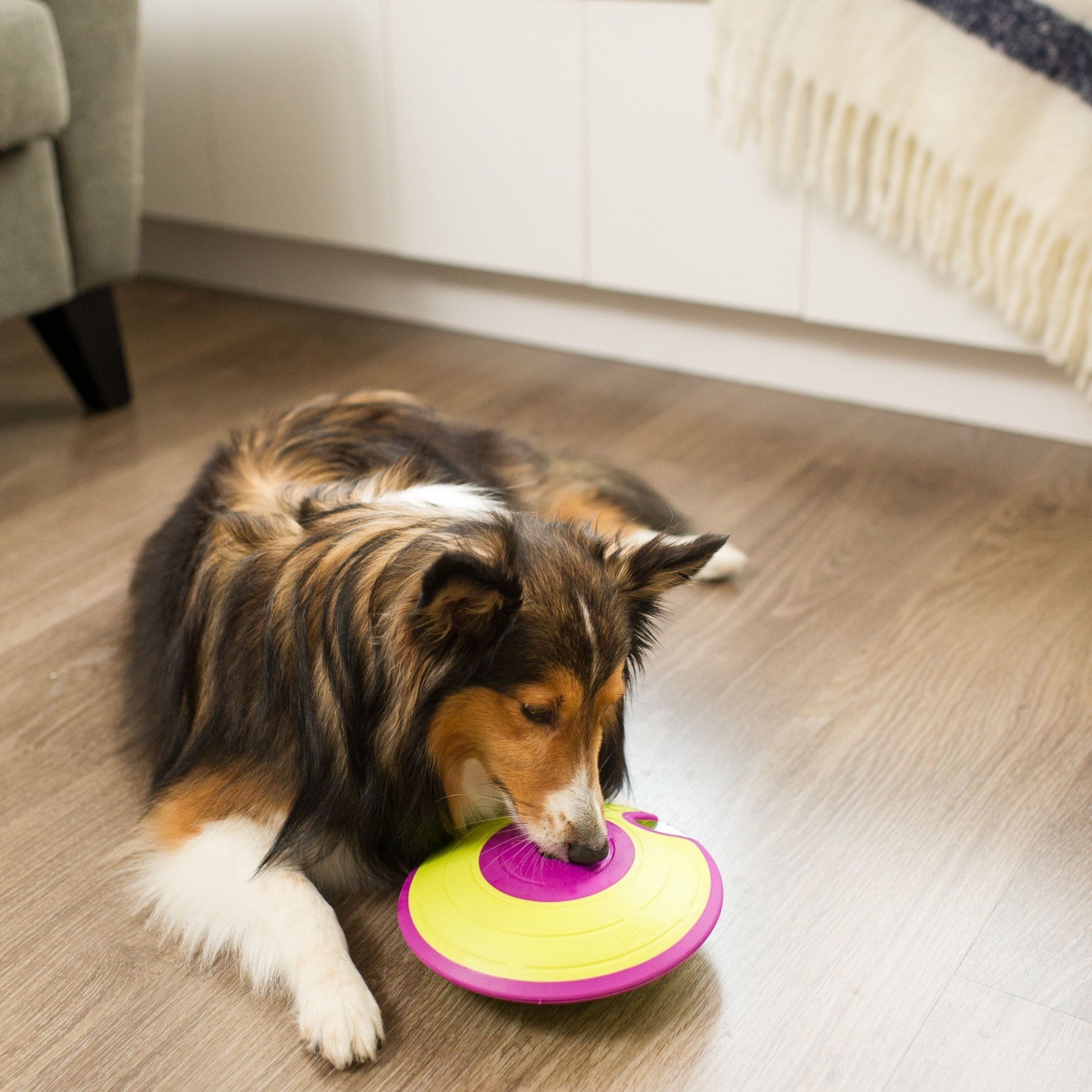 Nina Ottosson Treat Maze, Intelligenzspielzeug - Woofshack