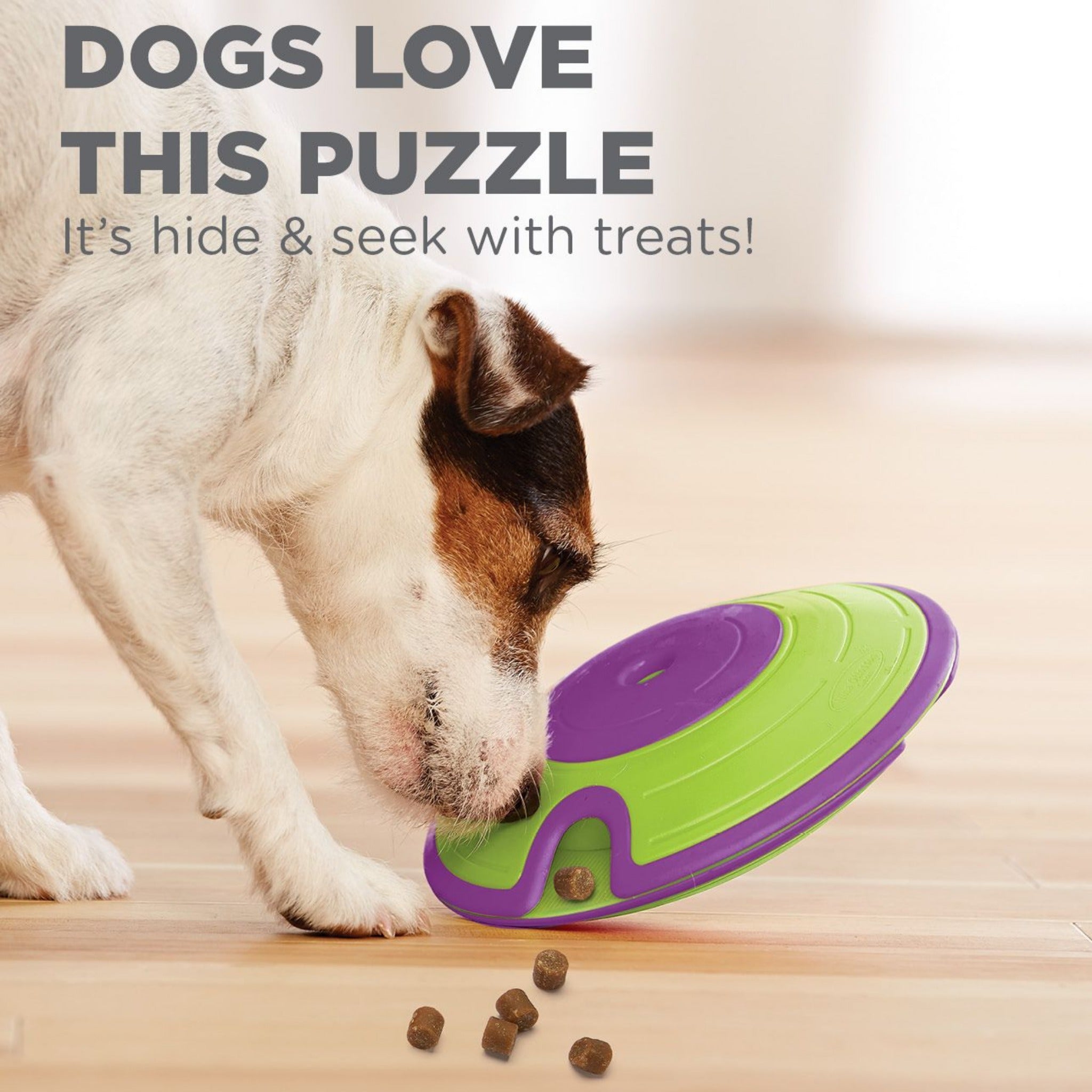 Nina Ottosson Treat Maze, Intelligenzspielzeug - Woofshack