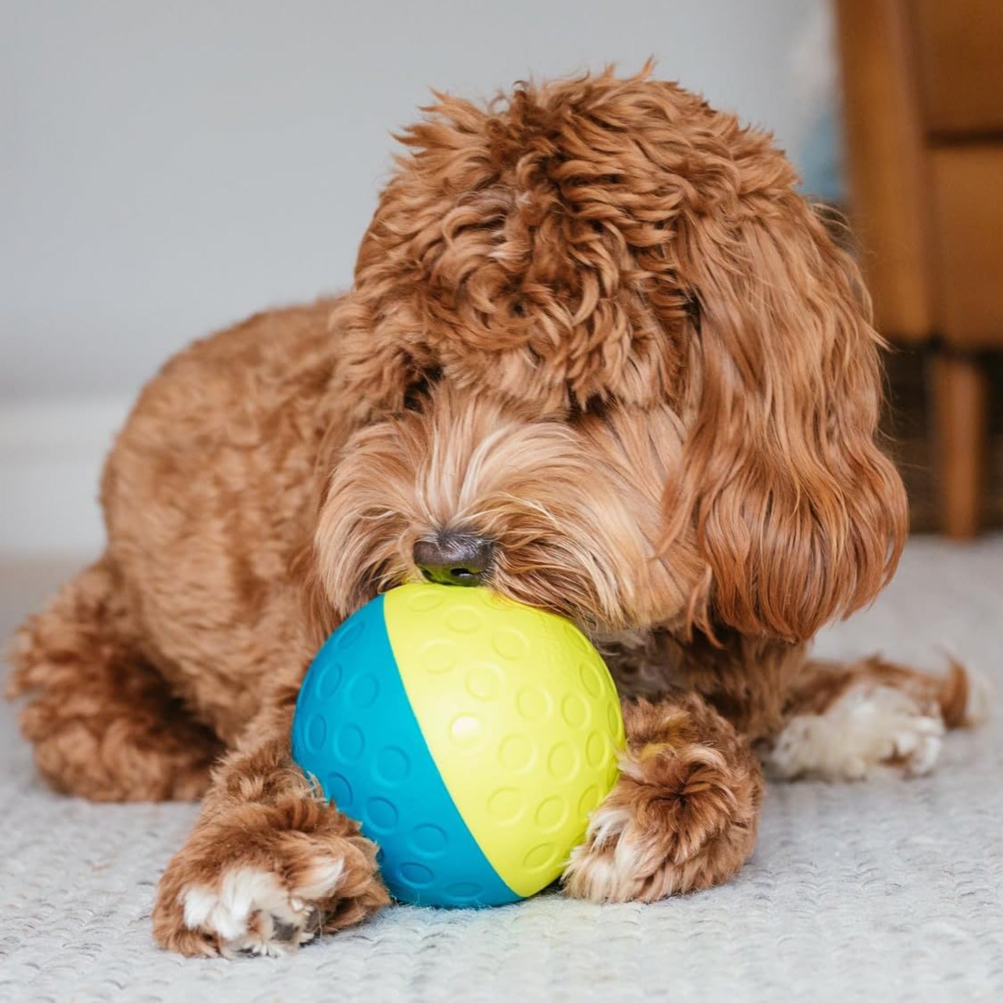 Nina Ottosson Treat Tumble Ball, Intelligenzspielzeug - Woofshack