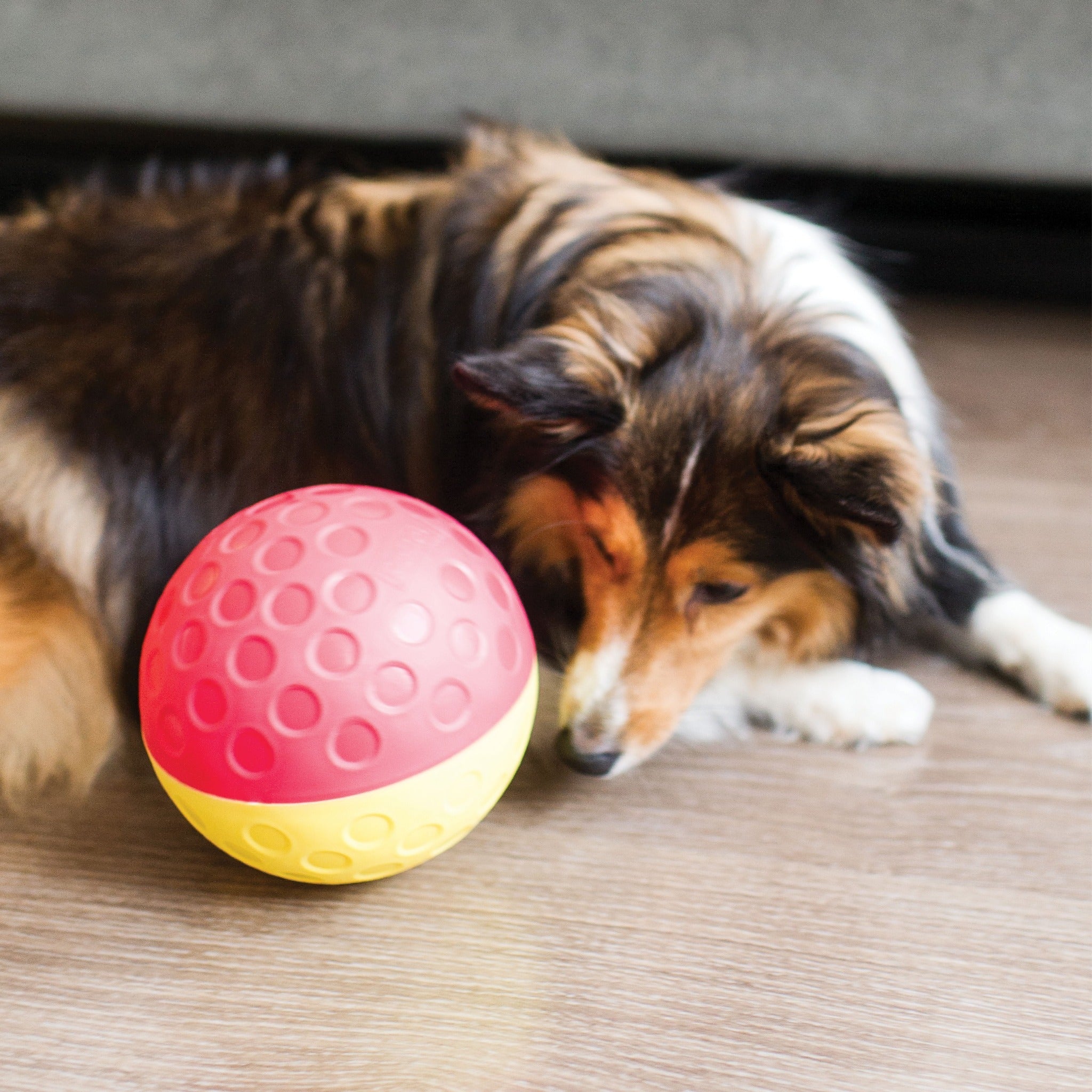 Nina Ottosson Treat Tumble Ball, Intelligenzspielzeug - Woofshack