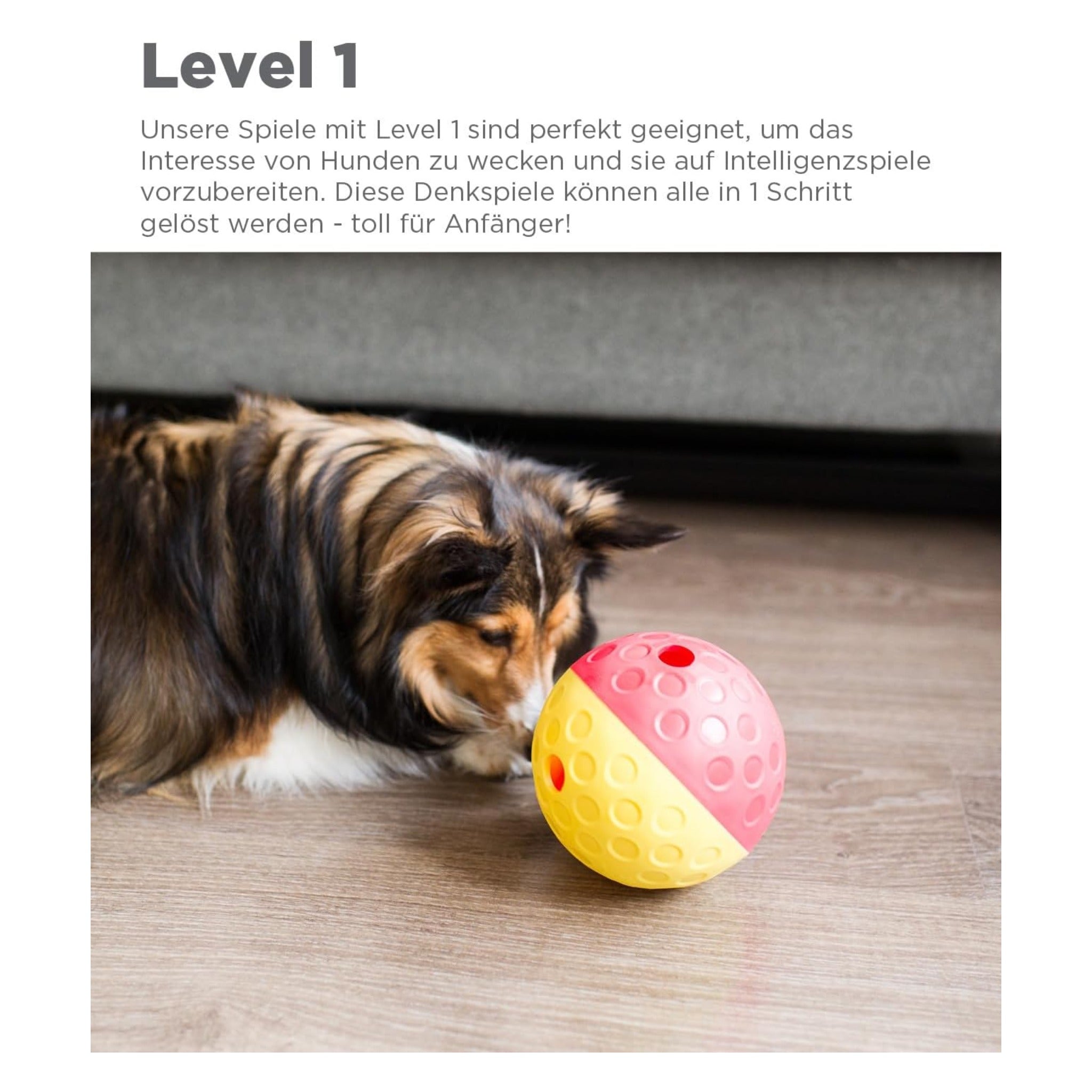 Nina Ottosson Treat Tumble Ball, Intelligenzspielzeug - Woofshack