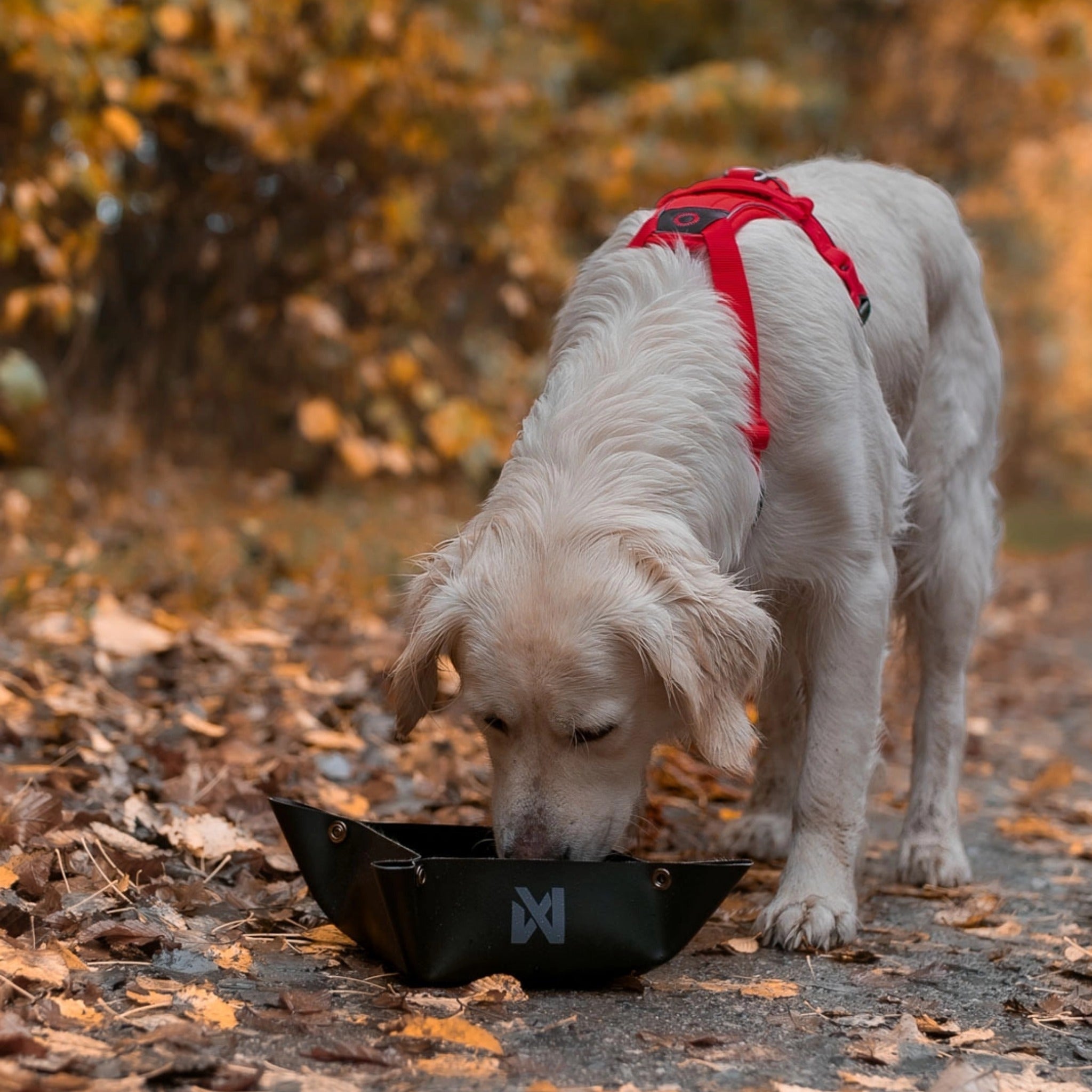 Non-stop dogwear Trekking Bowl, Hundenapf - Woofshack