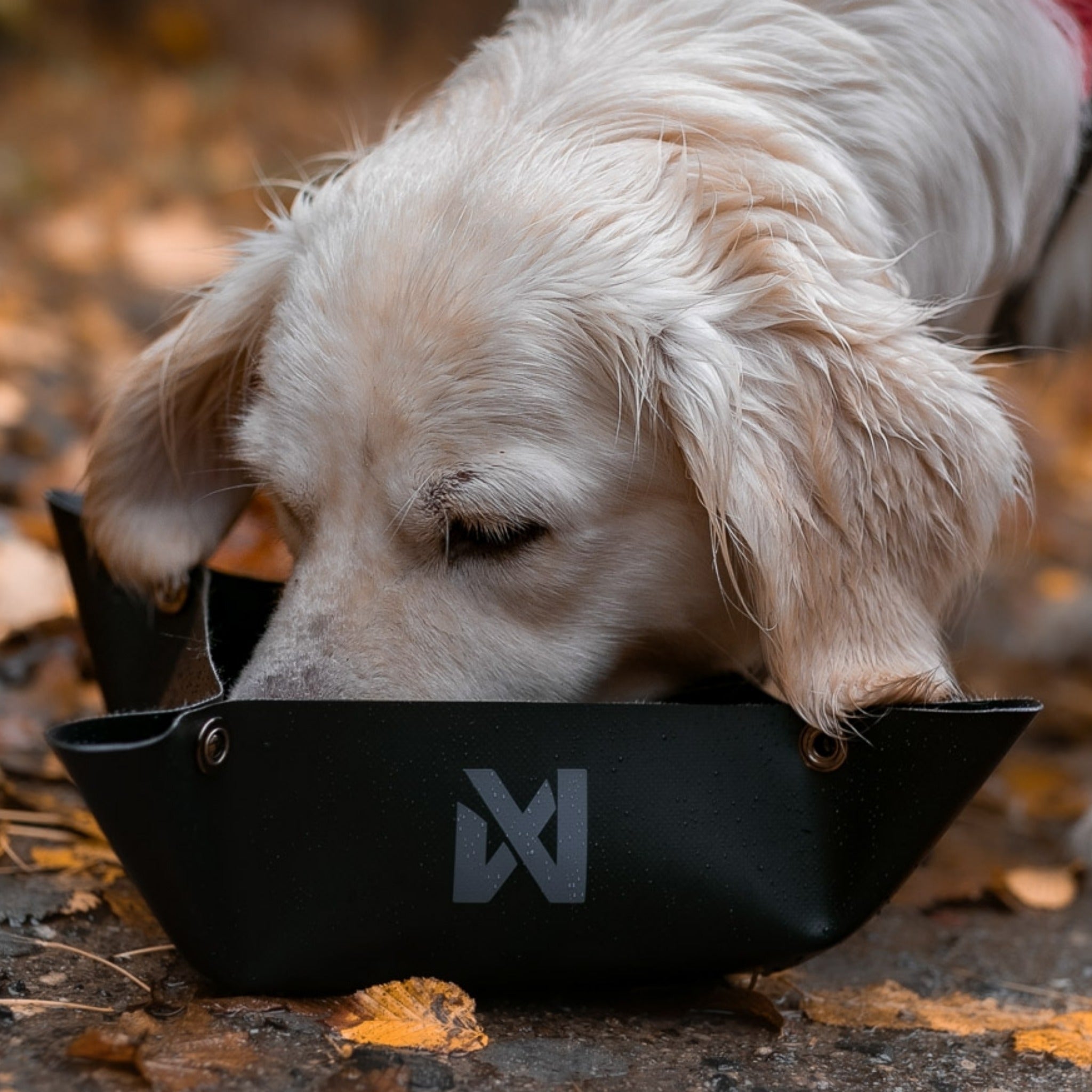 Non-stop dogwear Trekking Bowl, Hundenapf - Woofshack