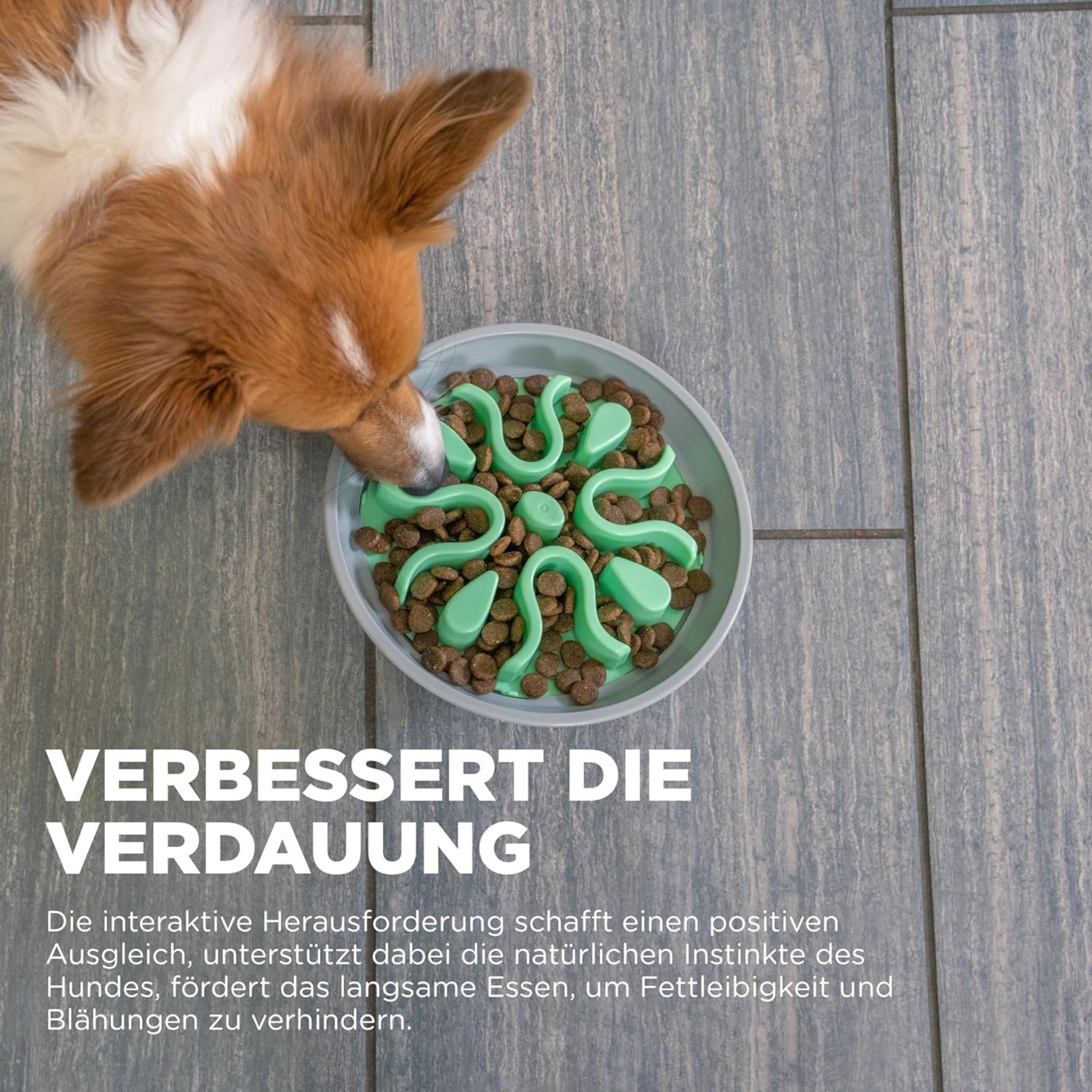 Outward Hound Fun Feeder Wobble Slo-Bowl, Anti-Schling Napf - Woofshack