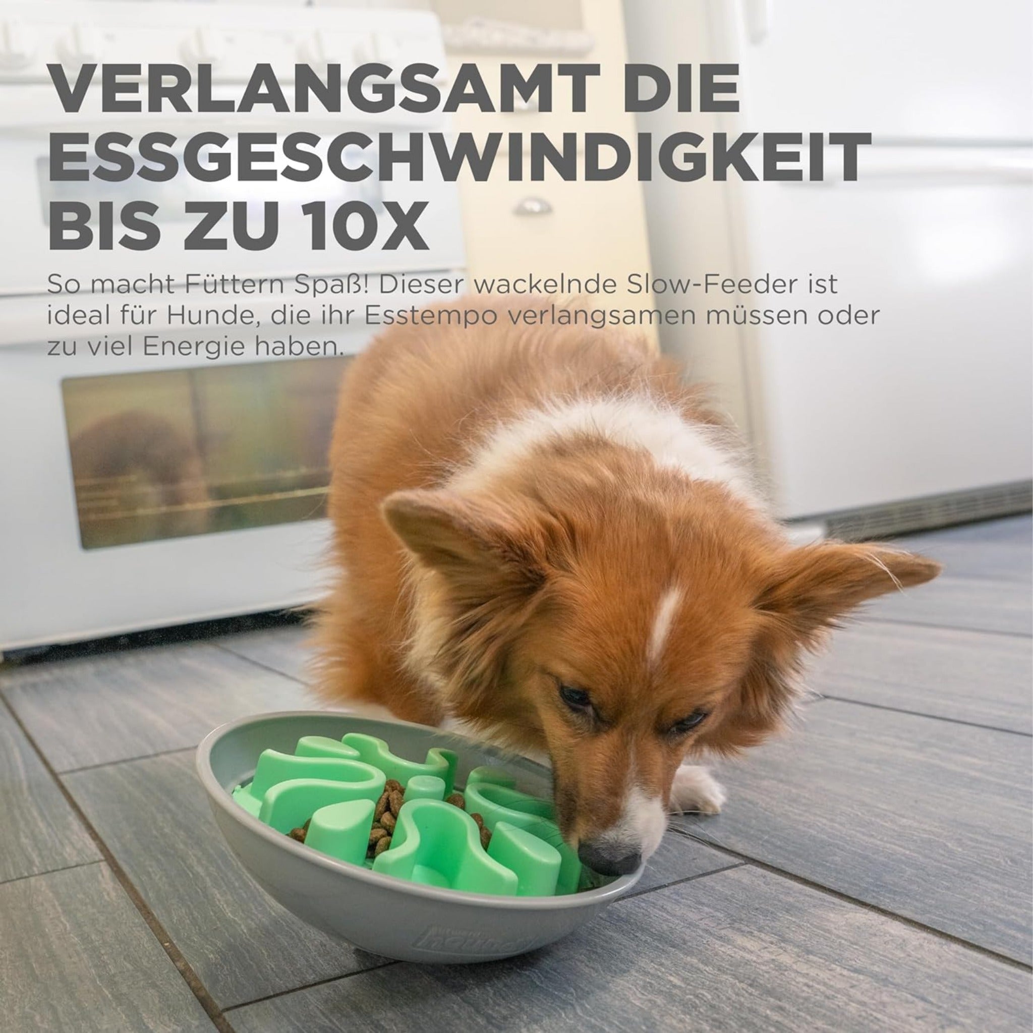 Outward Hound Fun Feeder Wobble Slo-Bowl, Anti-Schling Napf - Woofshack