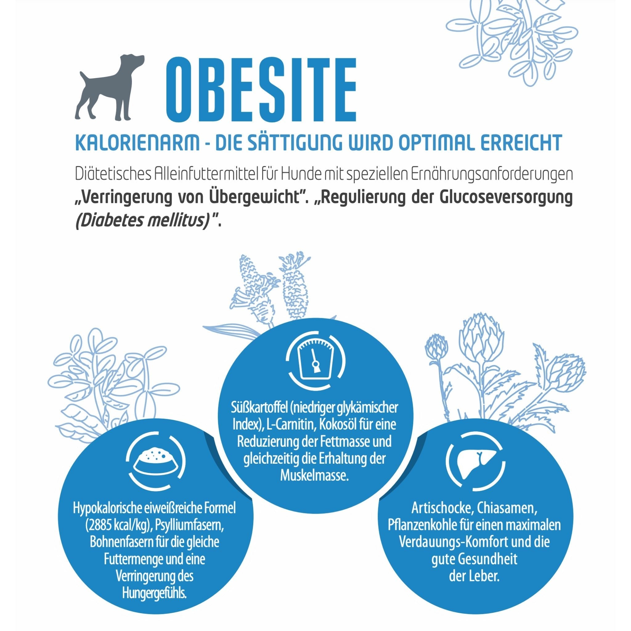 Pro-Nutrition Protect OBESITE, Veterinärmedizinisches Hundefutter - Woofshack