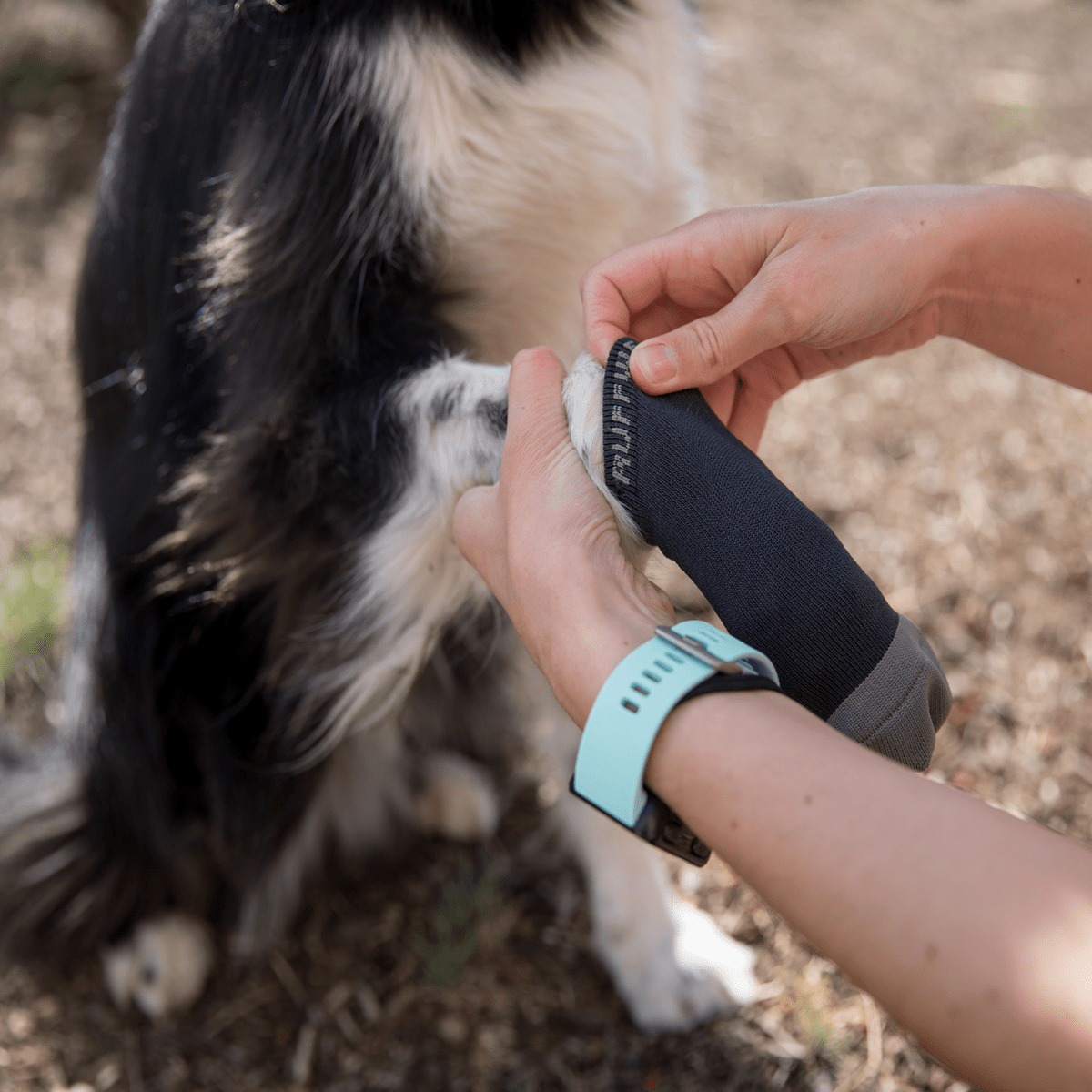 Ruffwear Bark&