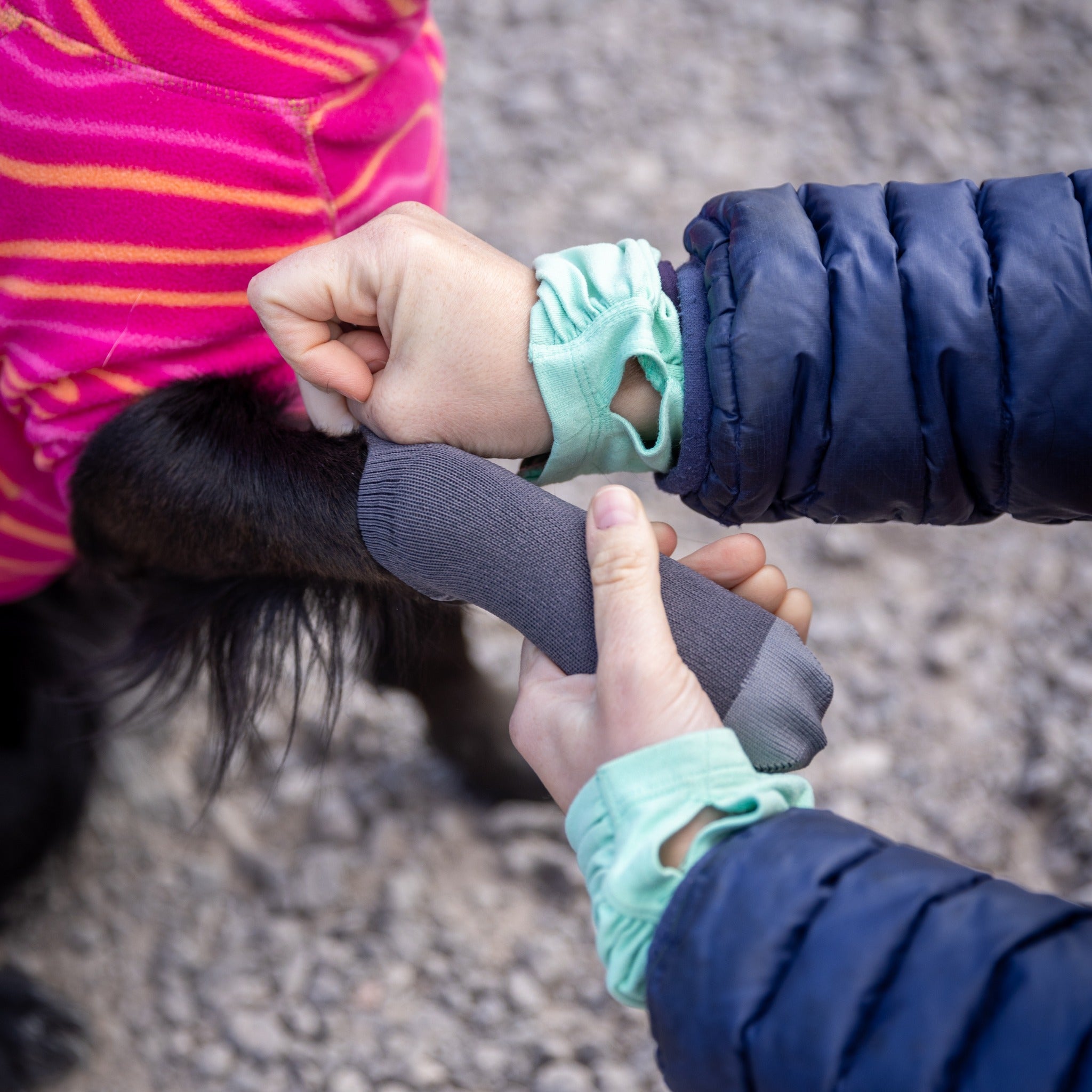 Ruffwear Bark&