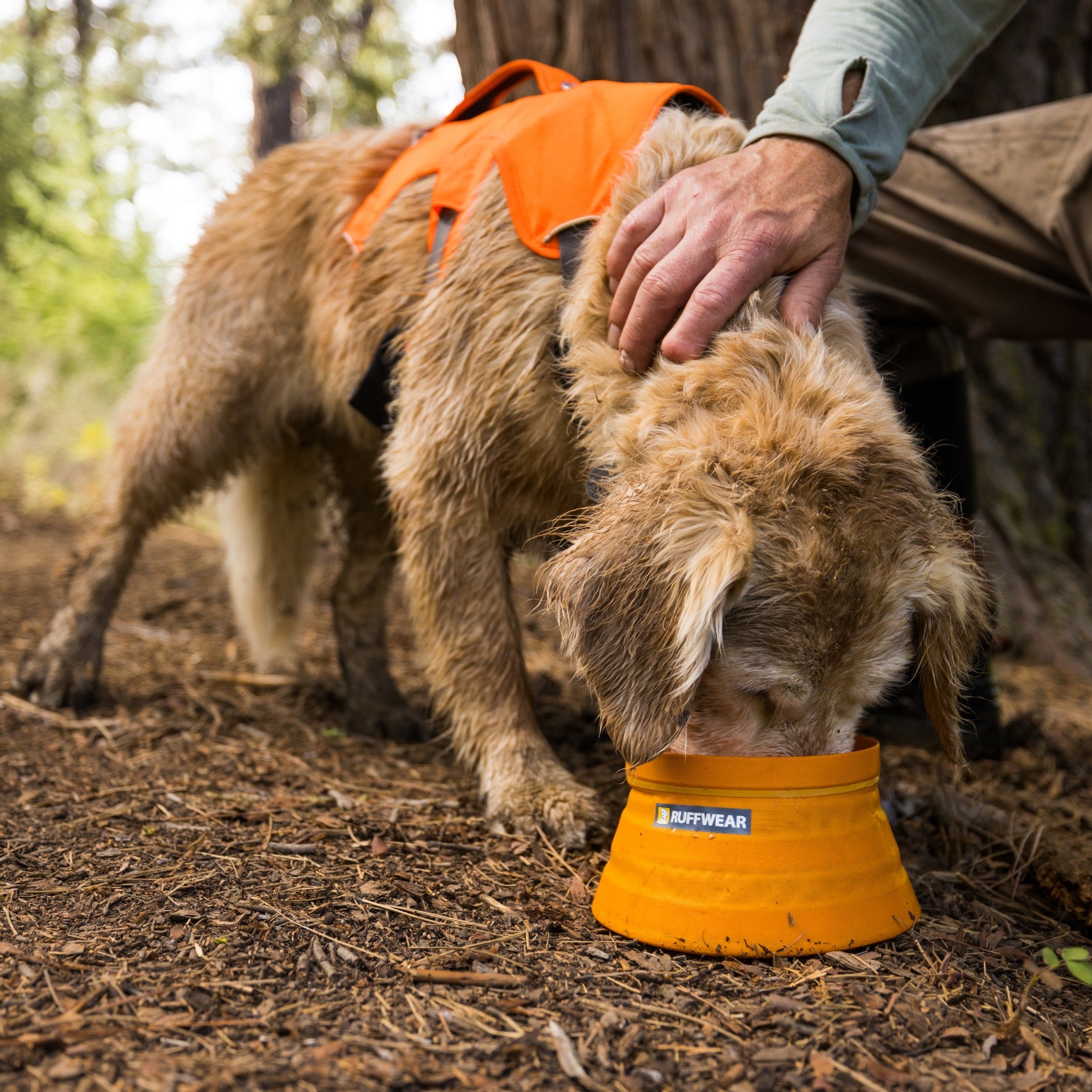 Ruffwear Bivy Bowl™ Reisefutternapf für Hunde - Woofshack
