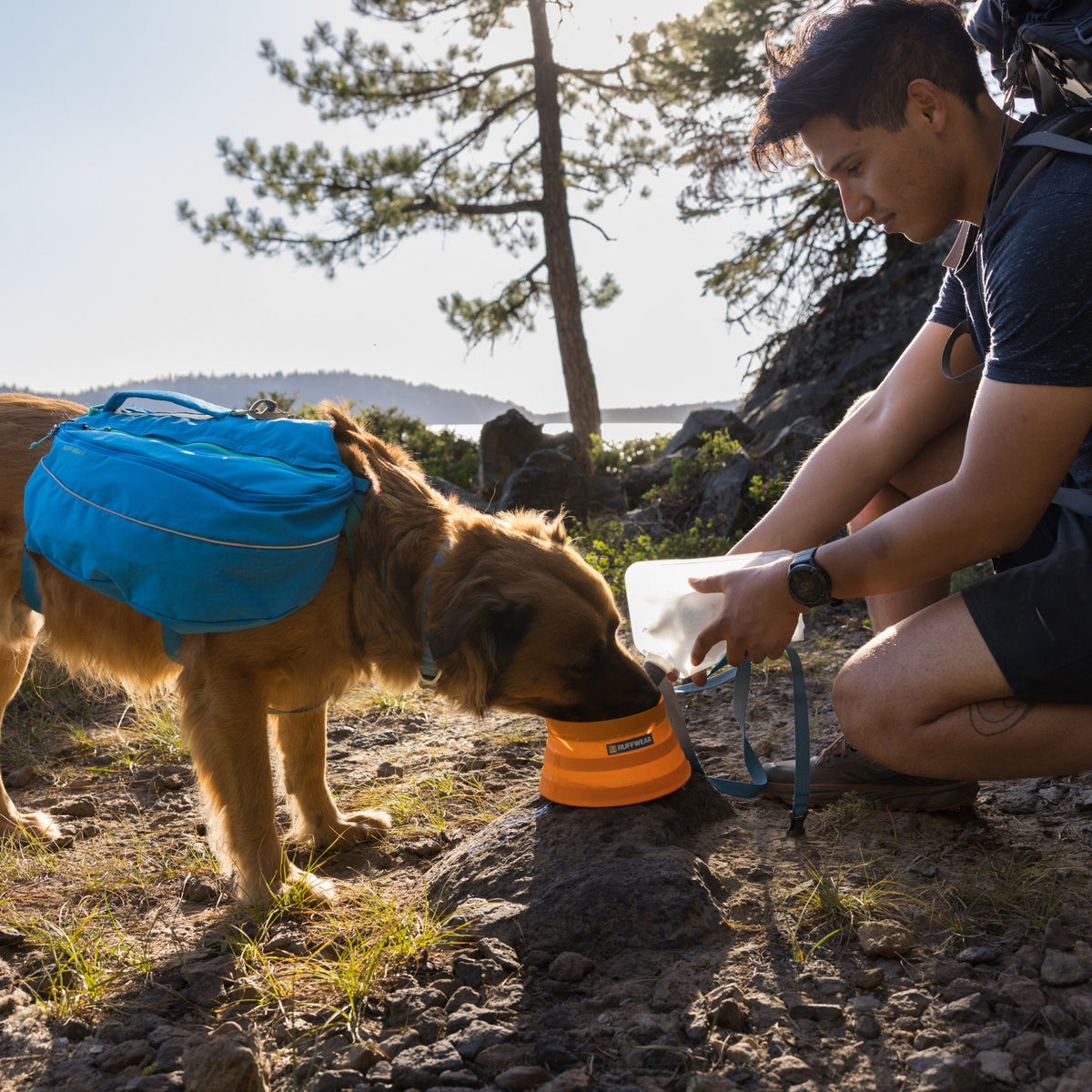 Ruffwear Bivy Bowl™ Reisefutternapf für Hunde - Woofshack