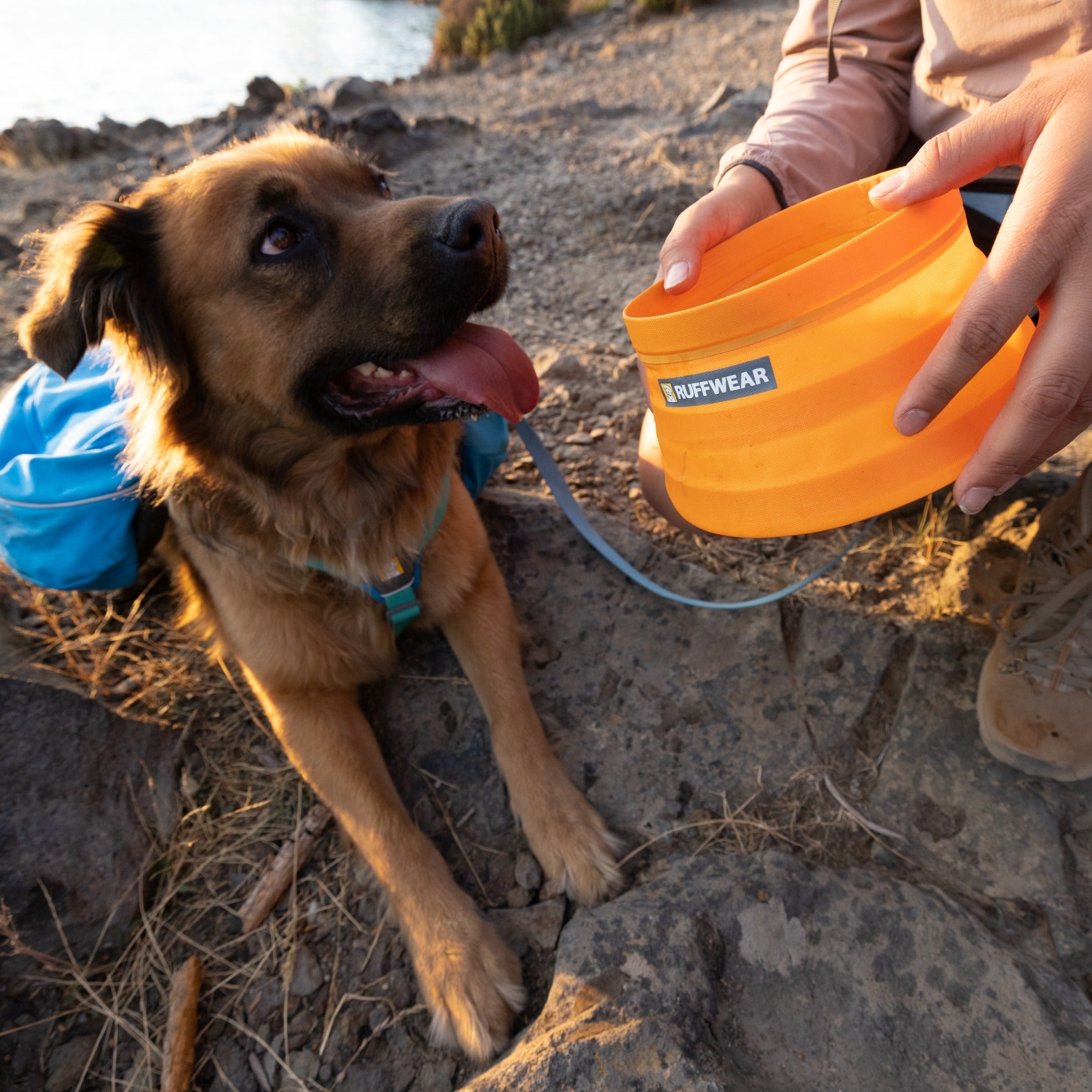 Ruffwear Bivy Bowl™ Reisefutternapf für Hunde - Woofshack
