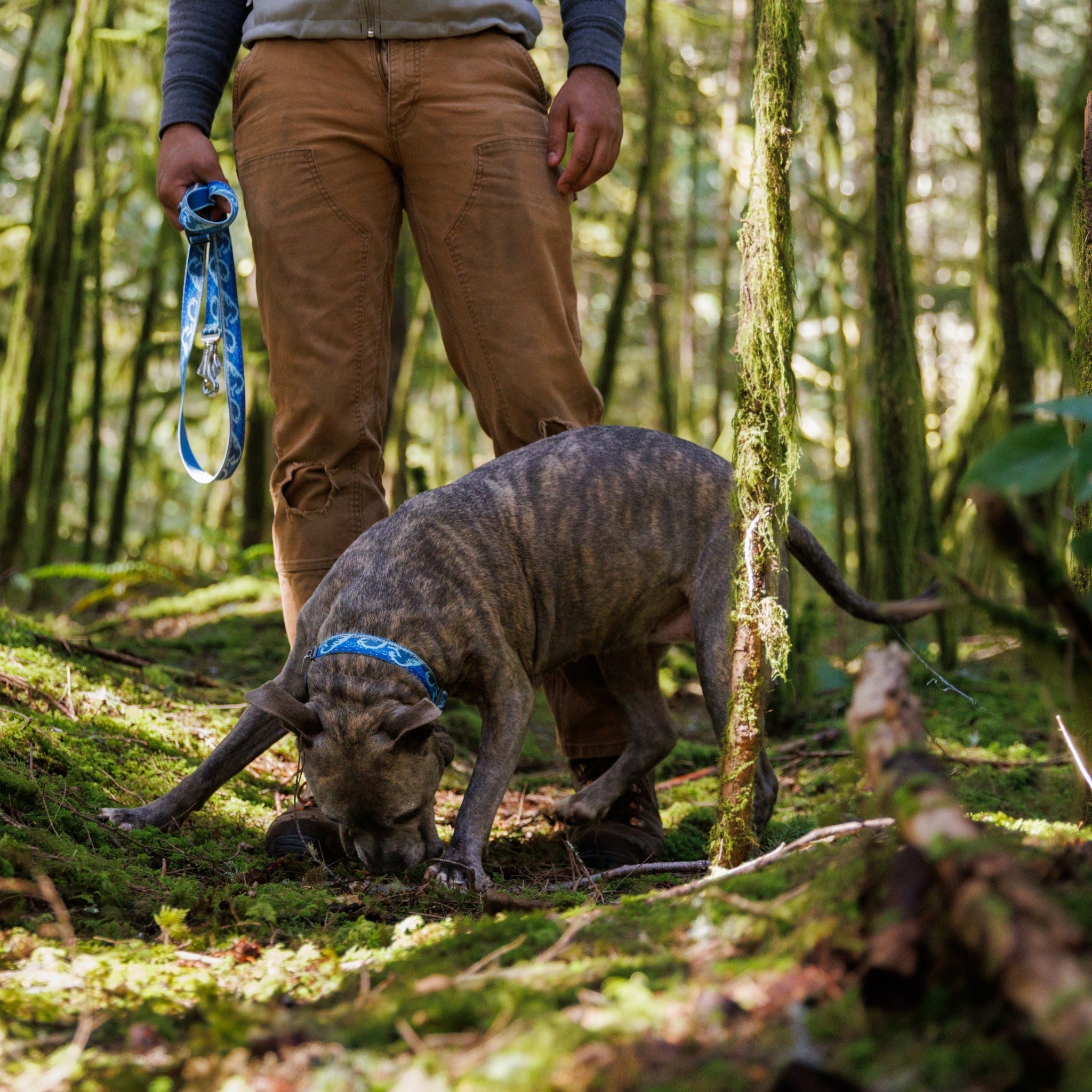 Ruffwear Crag Collar, Hundehalsband - Woofshack