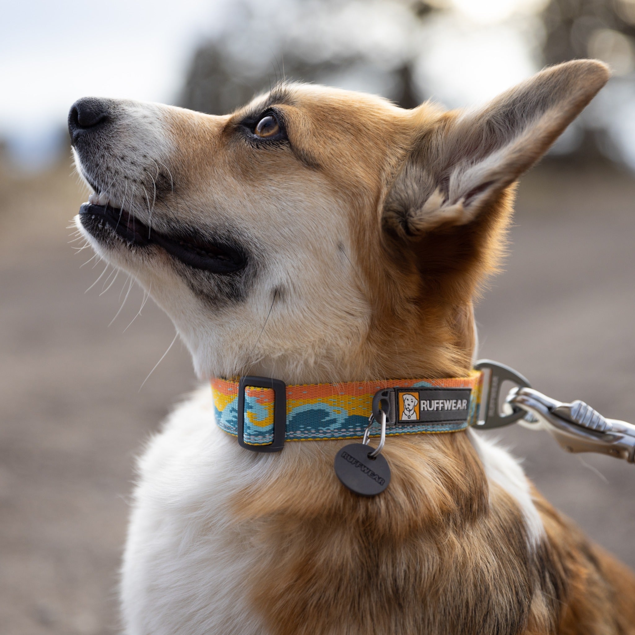 Ruffwear Crag Collar, Hundehalsband - Woofshack