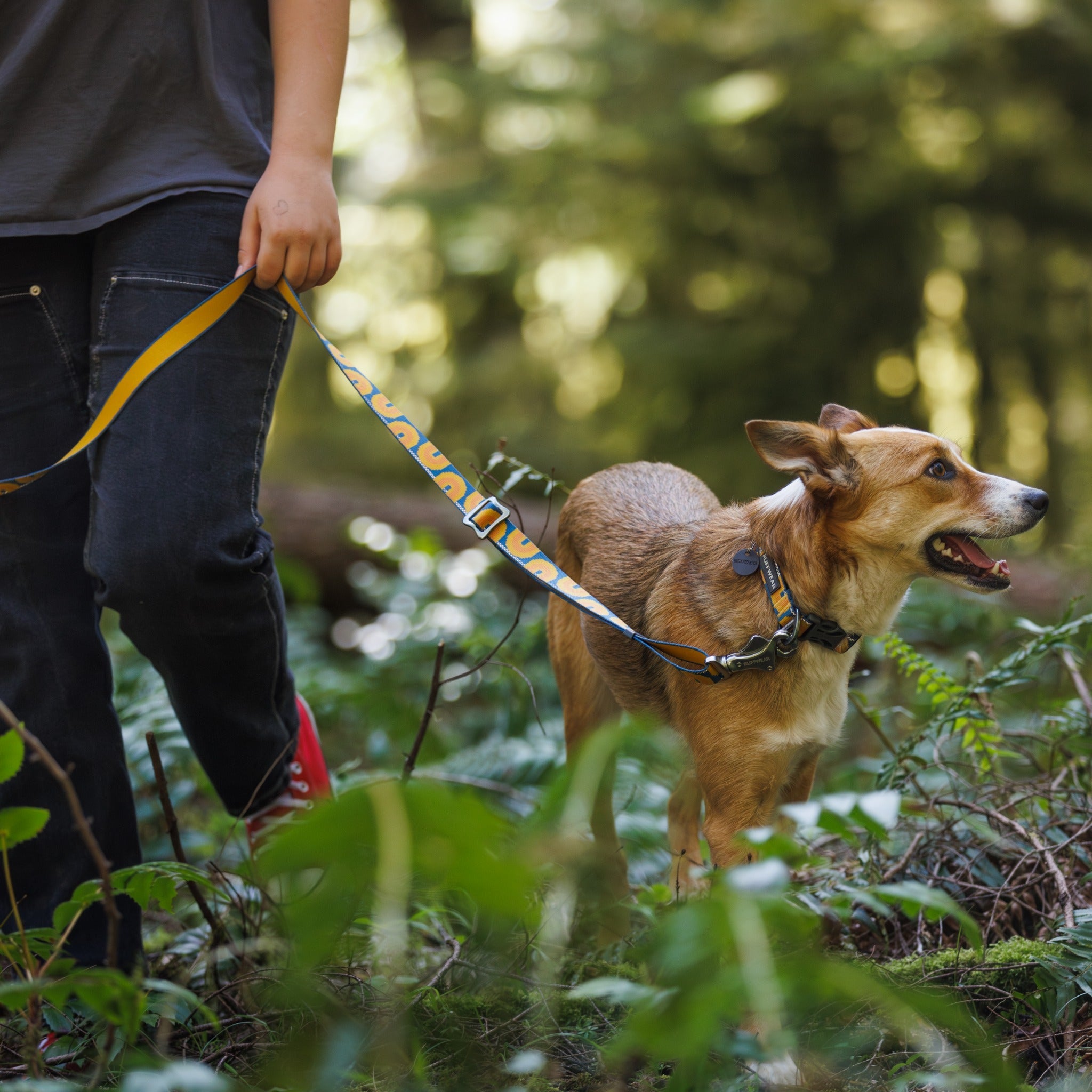 Ruffwear Crag Collar, Hundehalsband - Woofshack