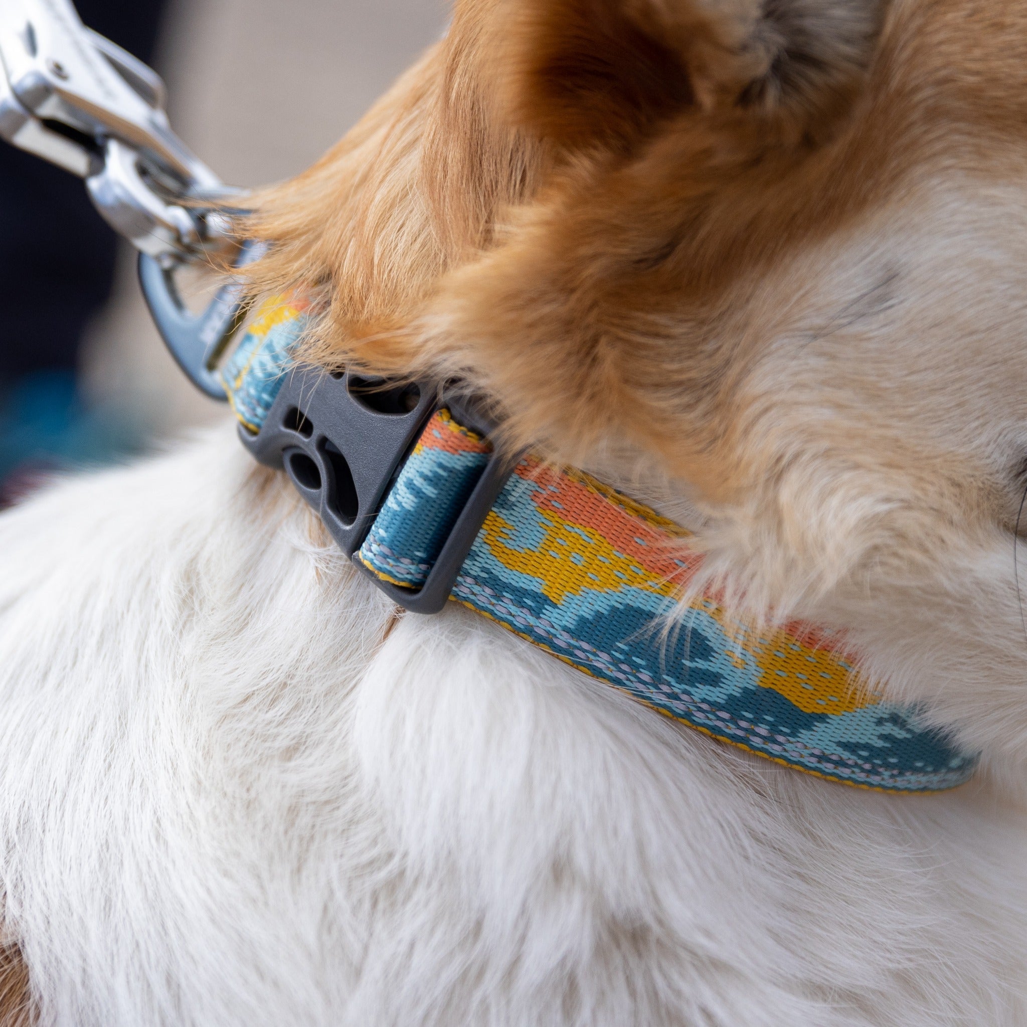 Ruffwear Crag Collar, Hundehalsband - Woofshack