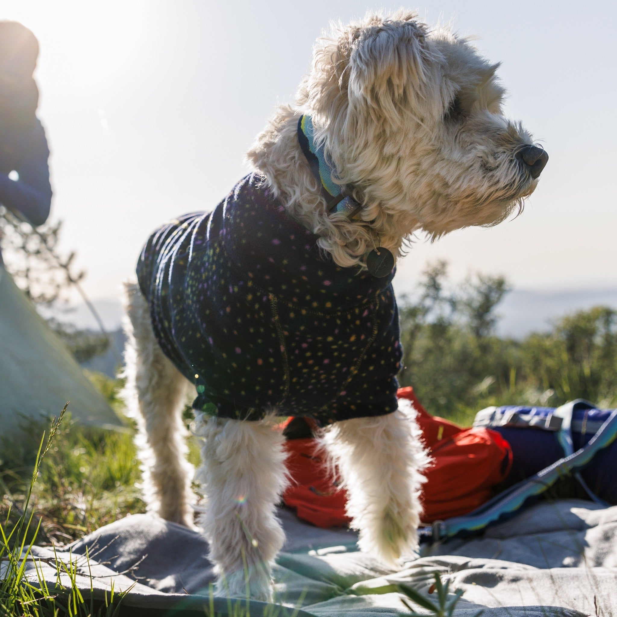 Ruffwear Crag Collar, Hundehalsband - Woofshack