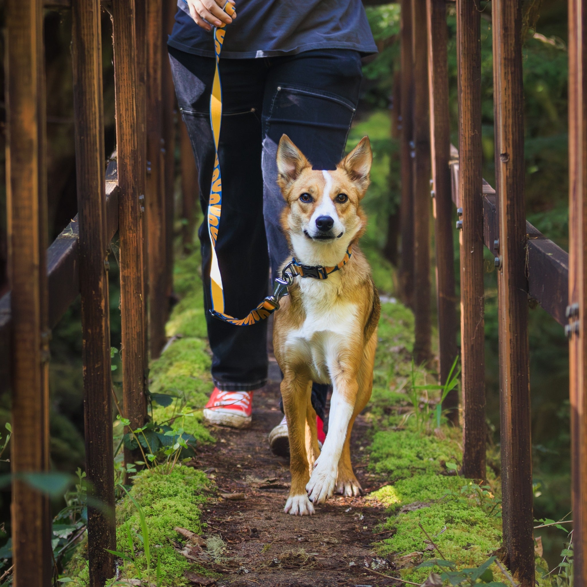 Ruffwear Crag Collar, Hundehalsband - Woofshack