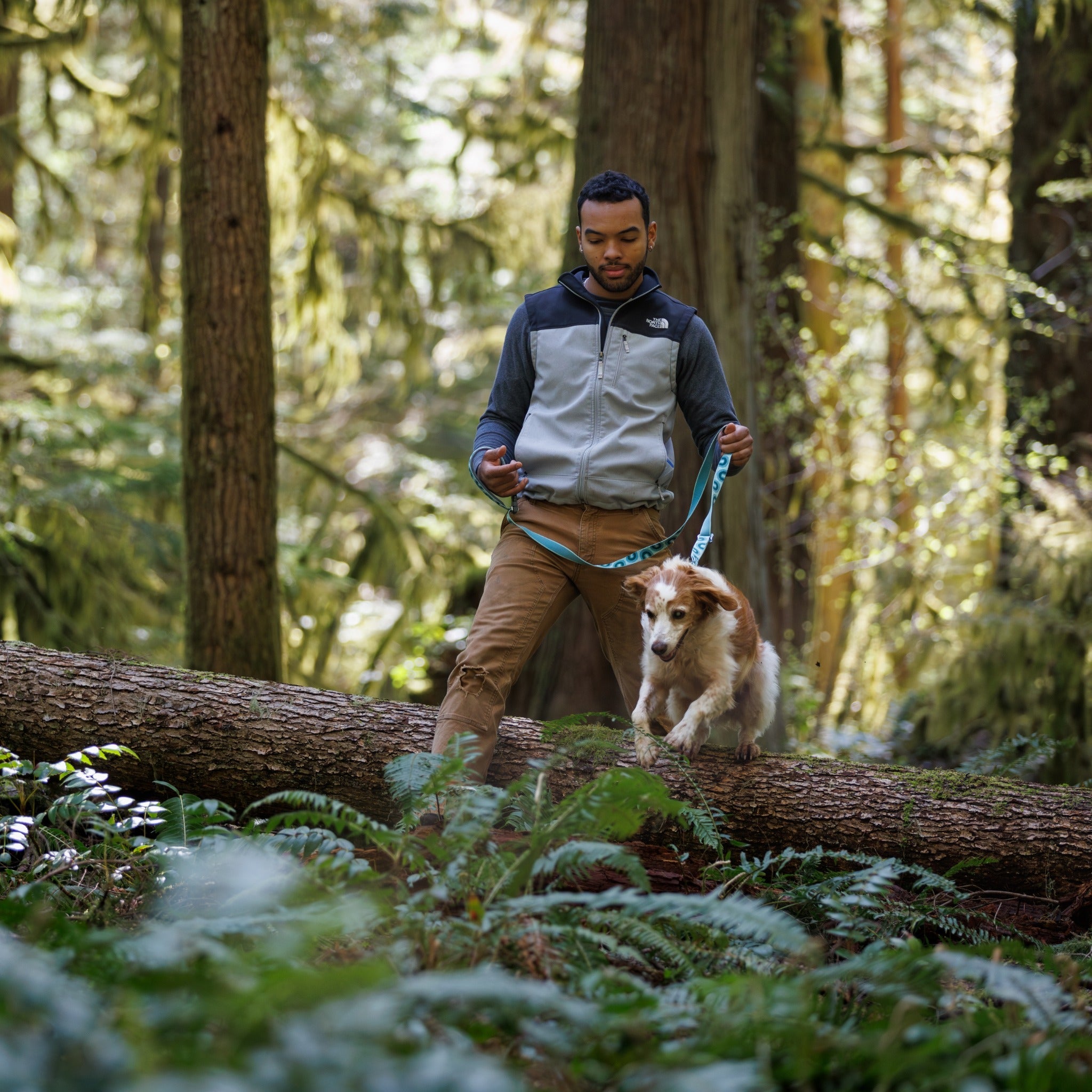 Ruffwear Crag EX Leash, Hundeleine - Woofshack