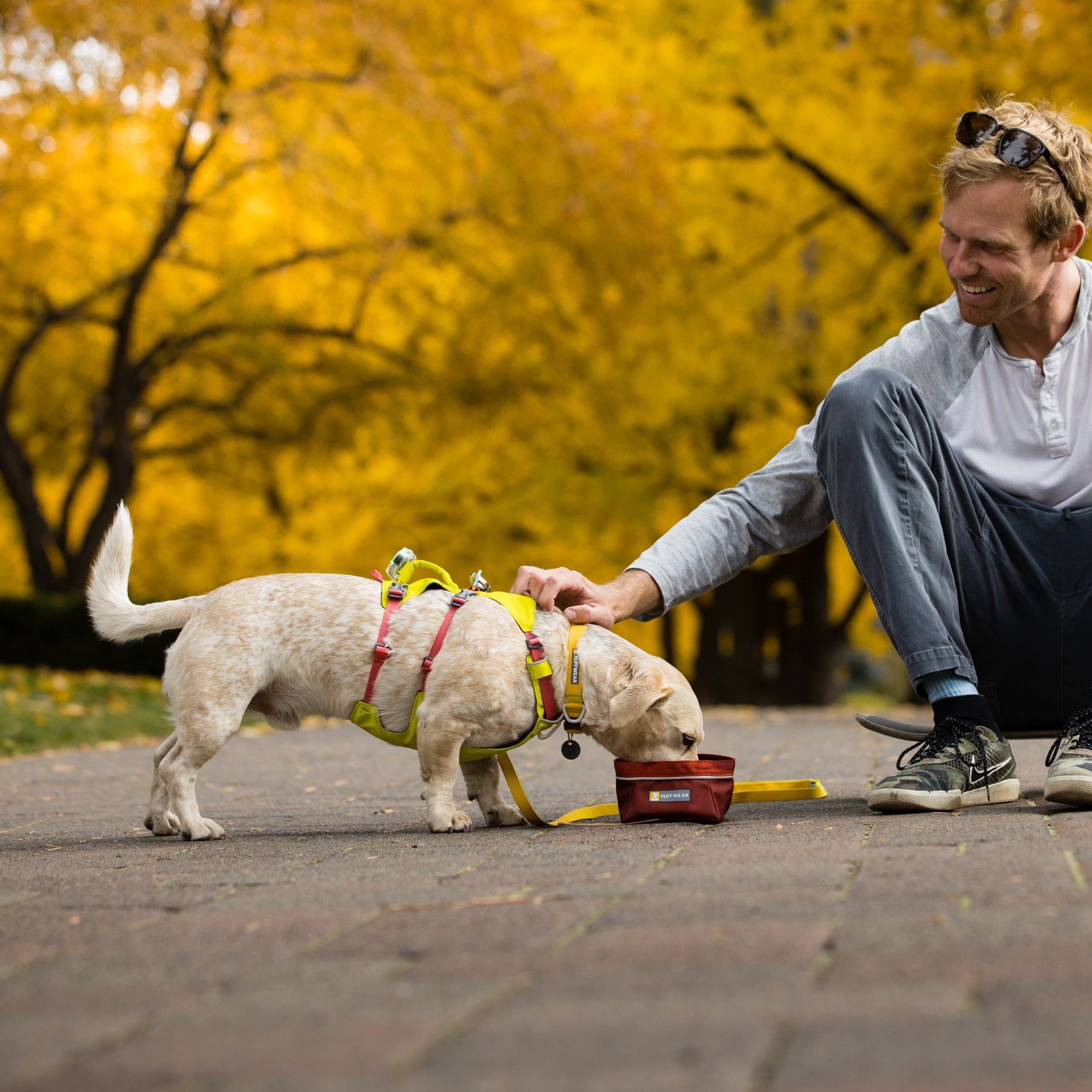 Ruffwear Flagline Harness, Hundegeschirr - Woofshack