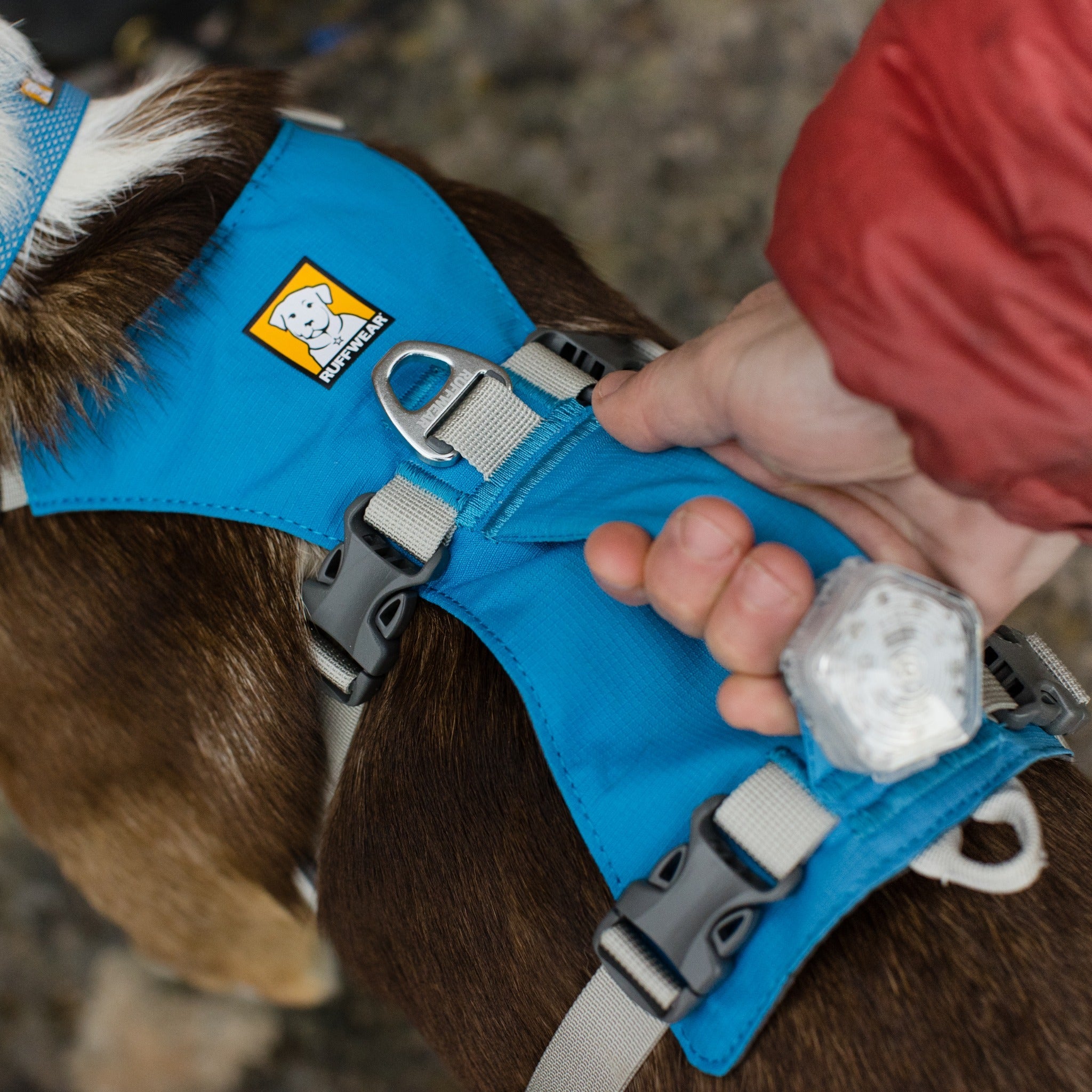Ruffwear Flagline Harness, Hundegeschirr - Woofshack