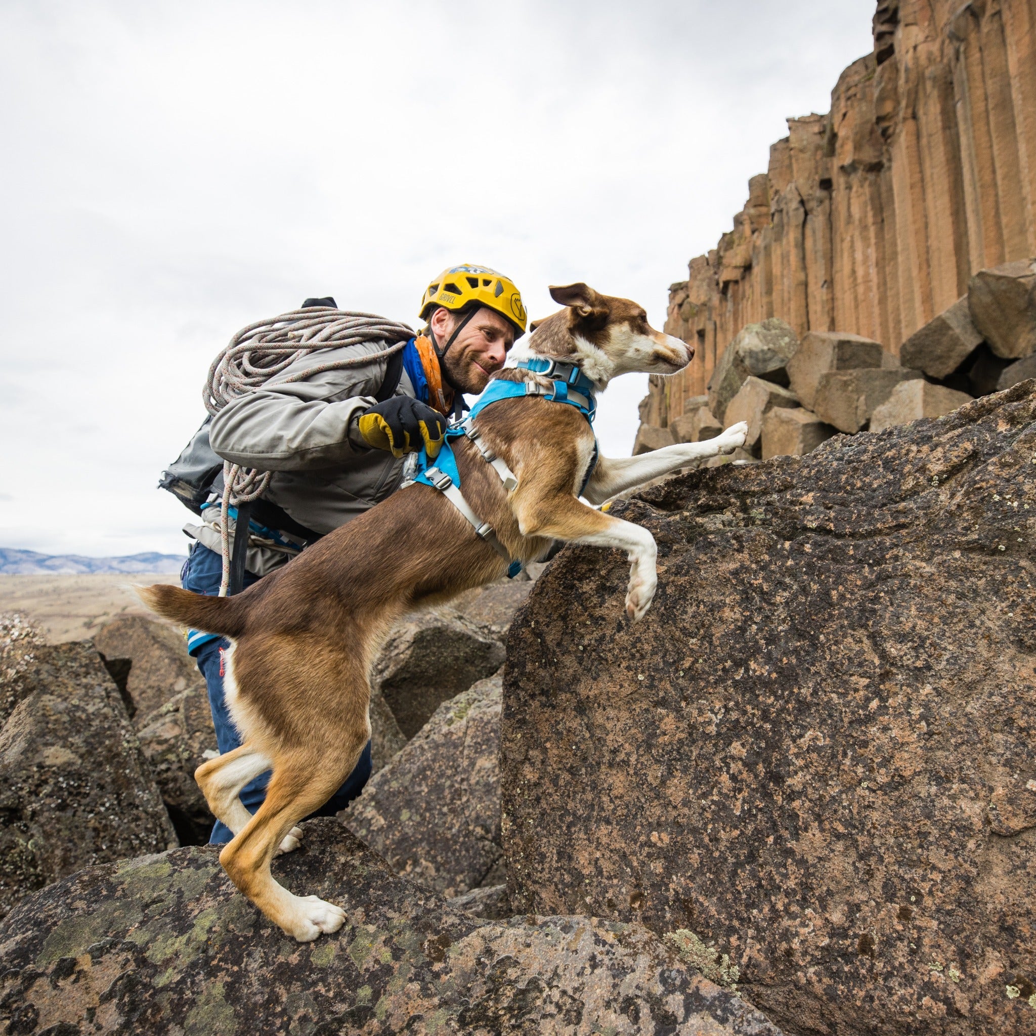 Ruffwear Flagline Harness, Hundegeschirr - Woofshack