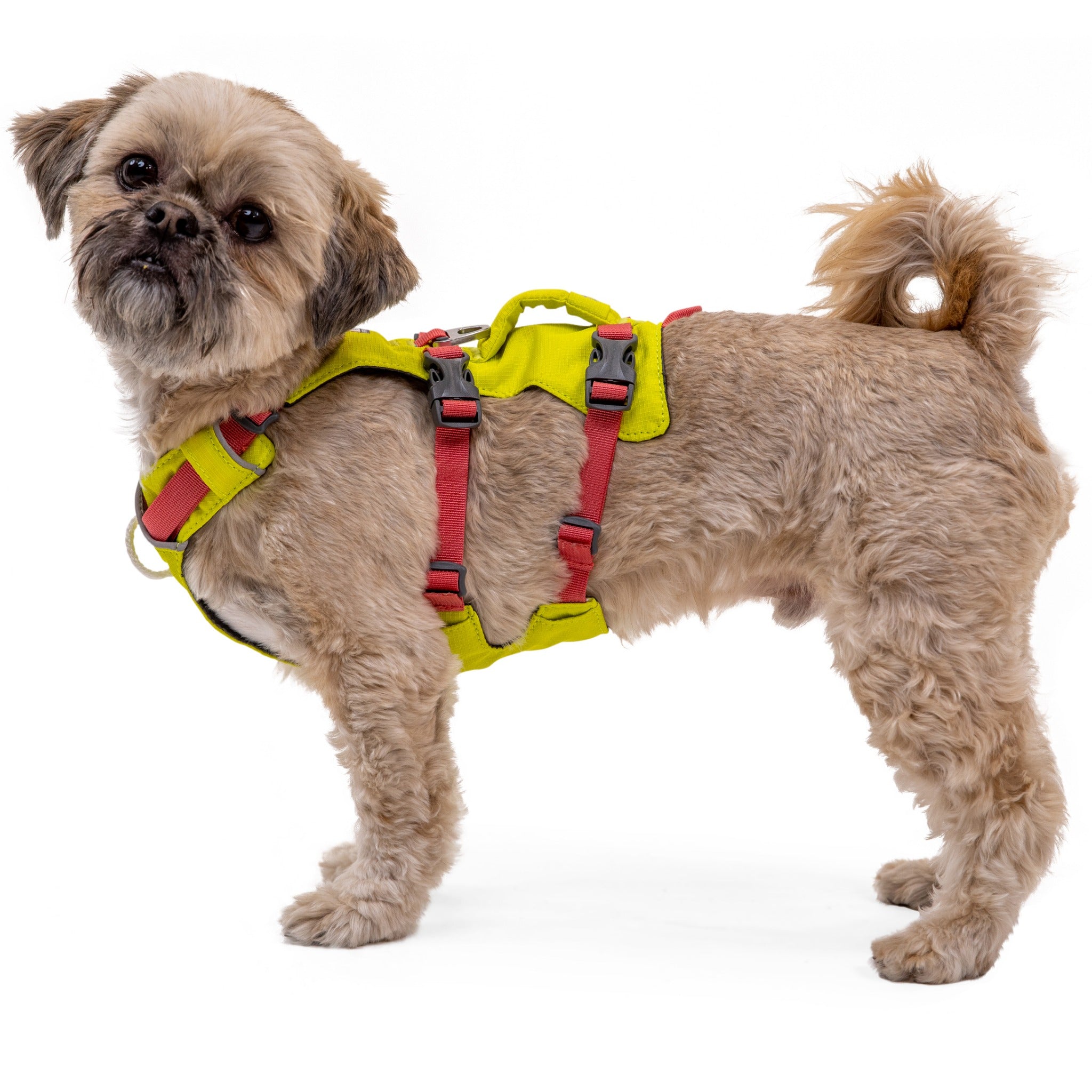 Ruffwear Flagline Harness, Hundegeschirr - Woofshack