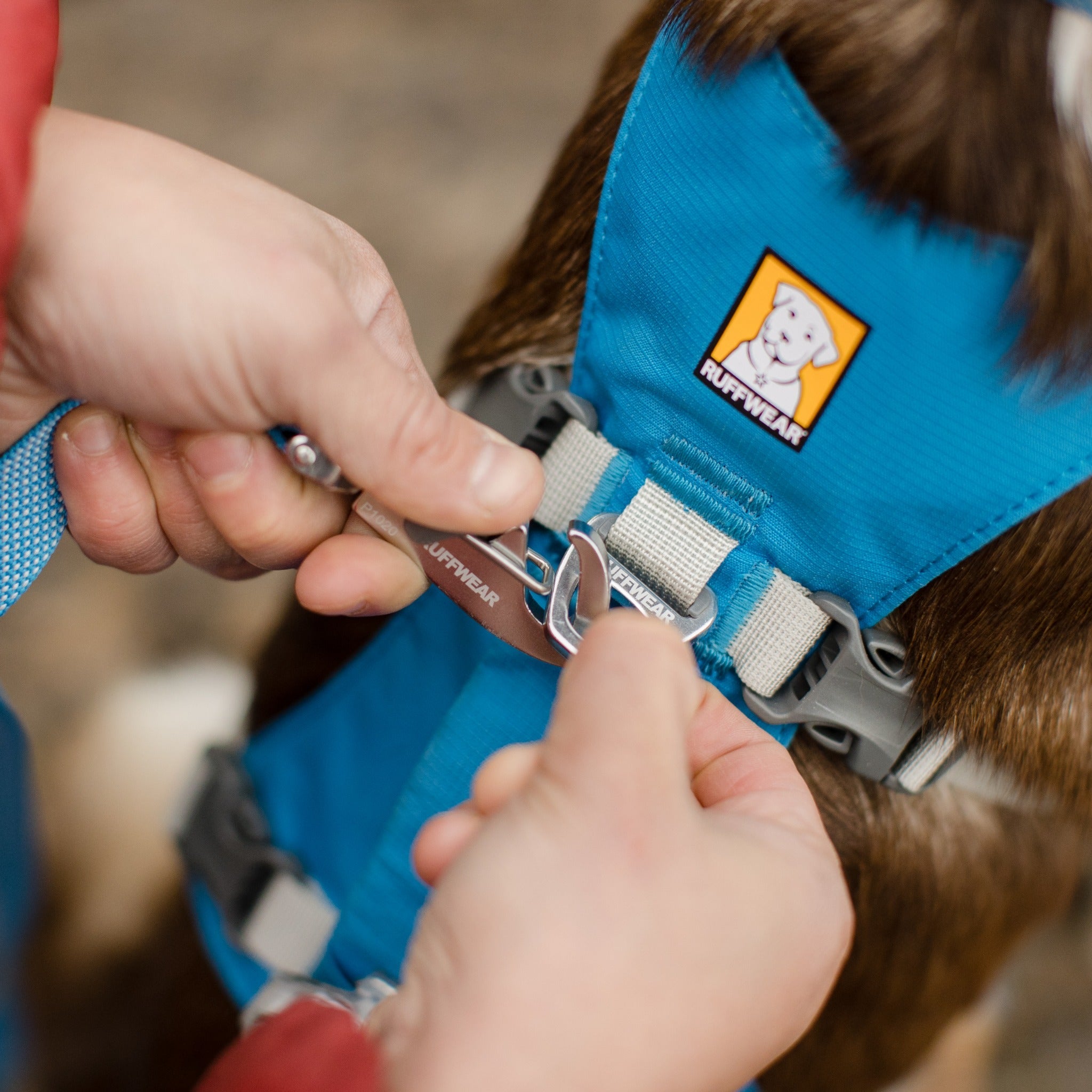 Ruffwear Flagline Harness, Hundegeschirr - Woofshack