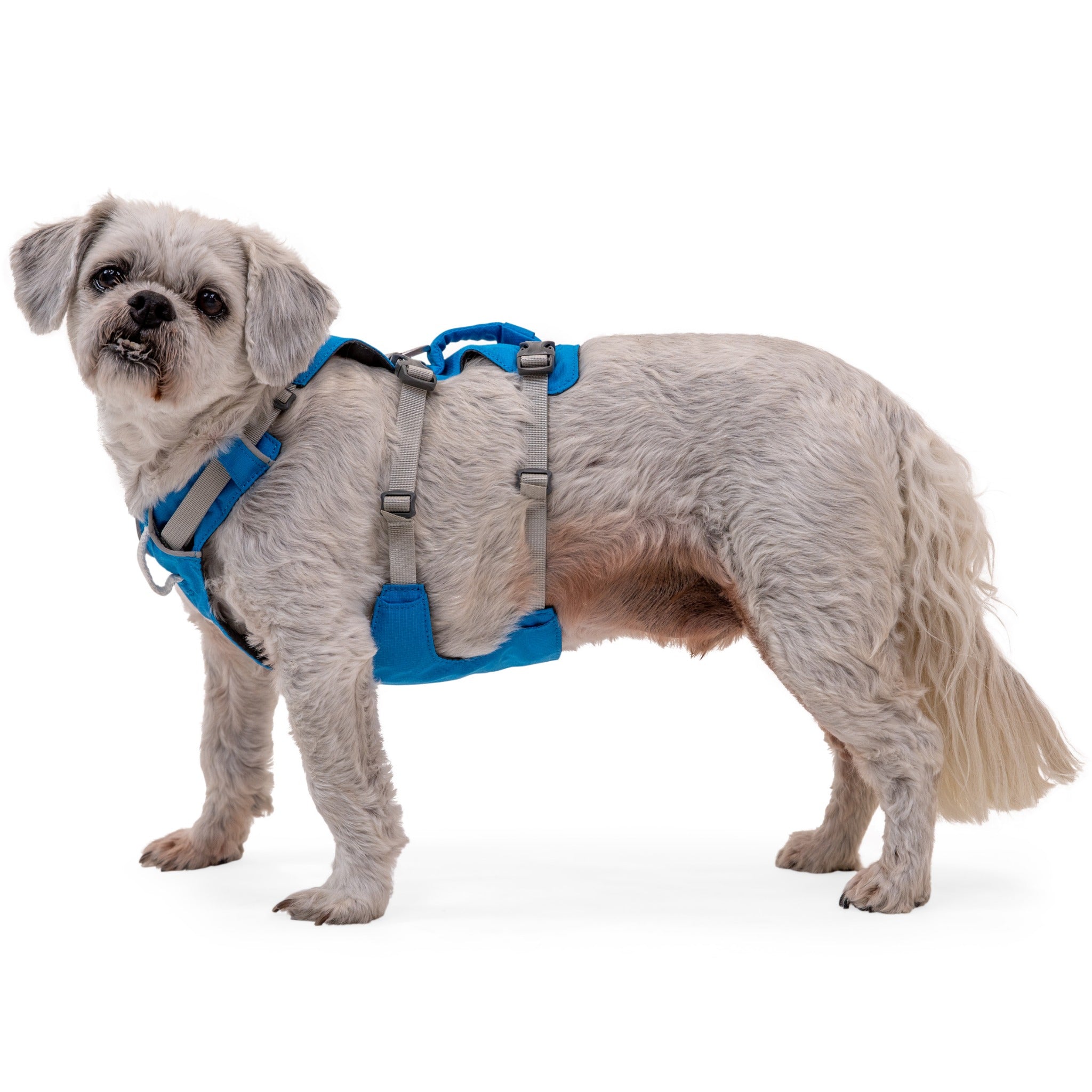 Ruffwear Flagline Harness, Hundegeschirr - Woofshack