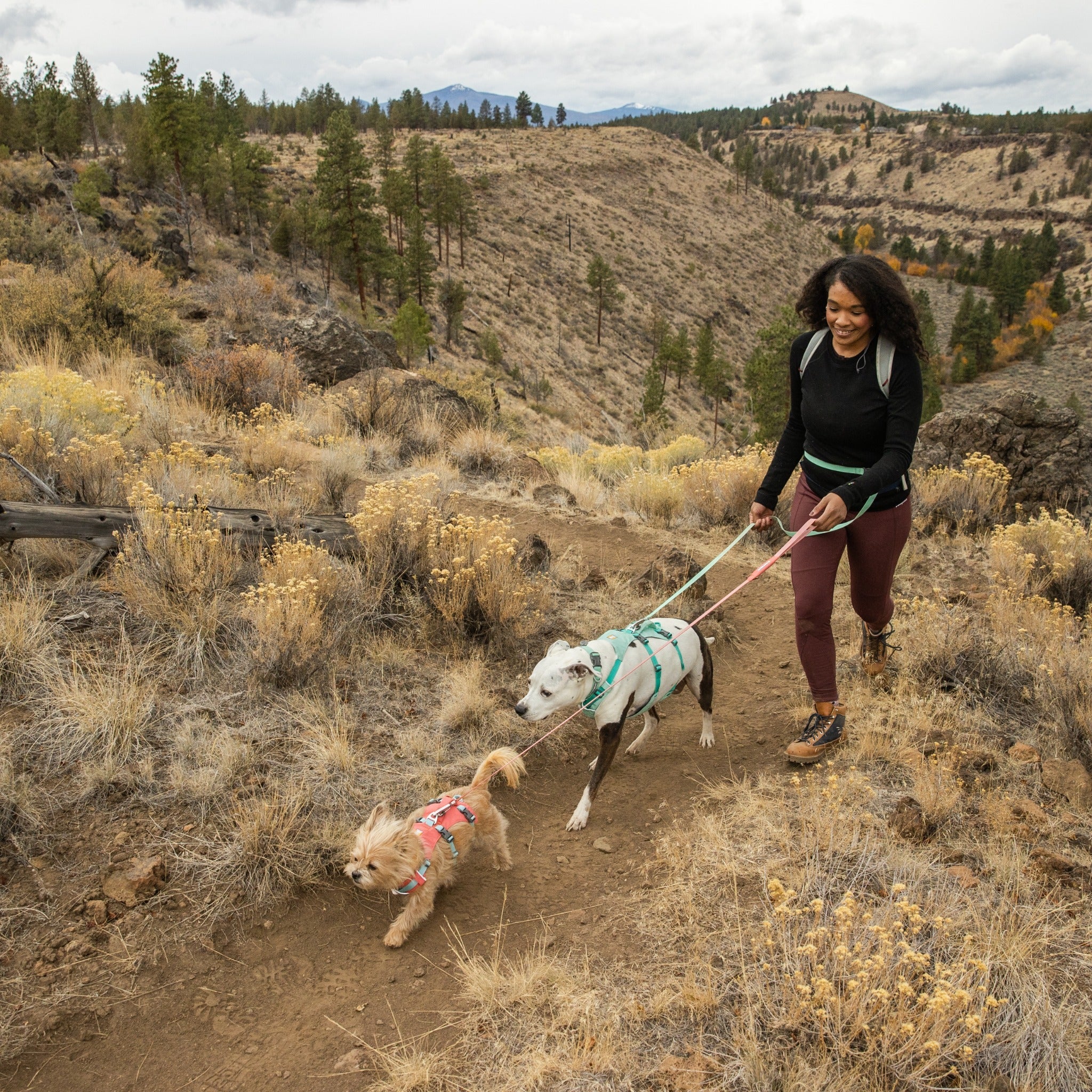 Ruffwear Flagline Harness, Hundegeschirr - Woofshack
