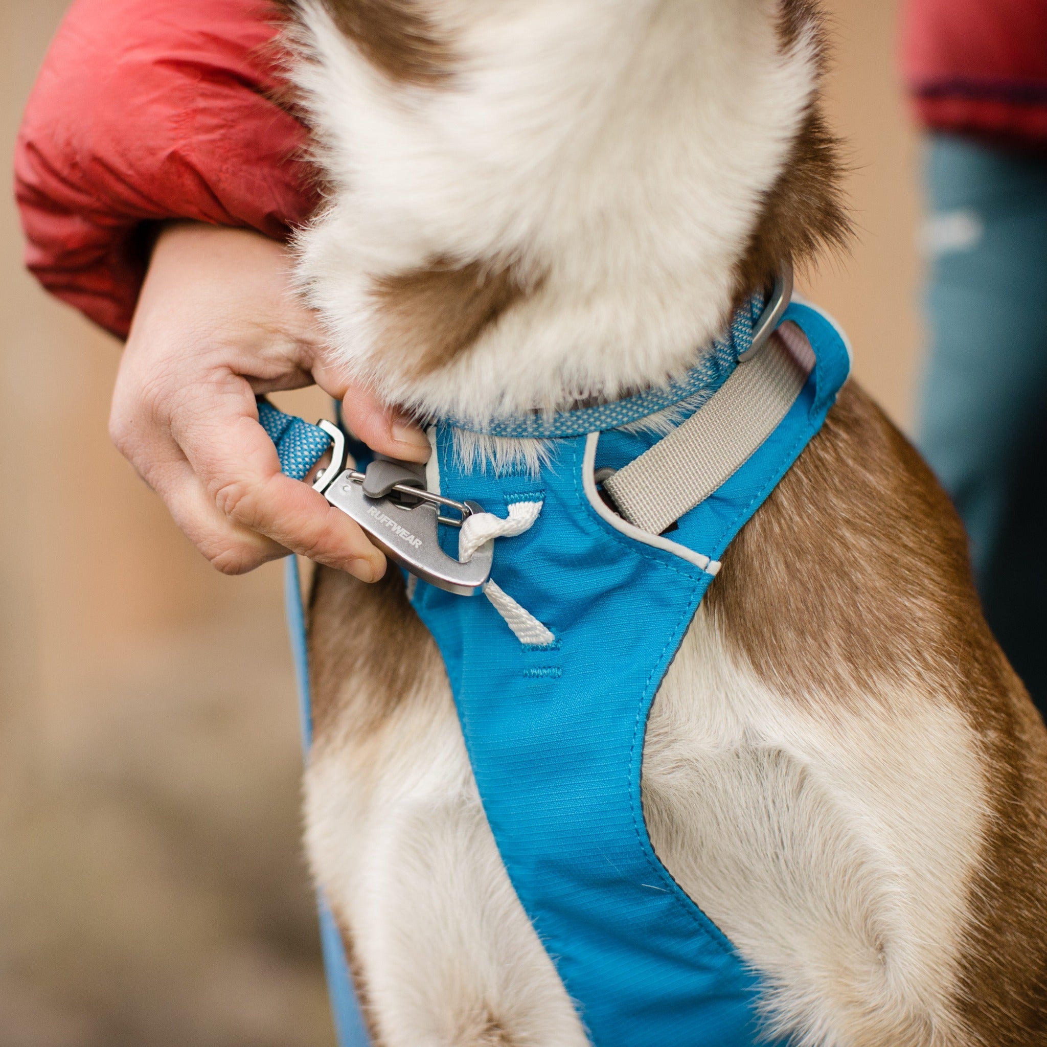 Ruffwear Flagline Harness, Hundegeschirr - Woofshack