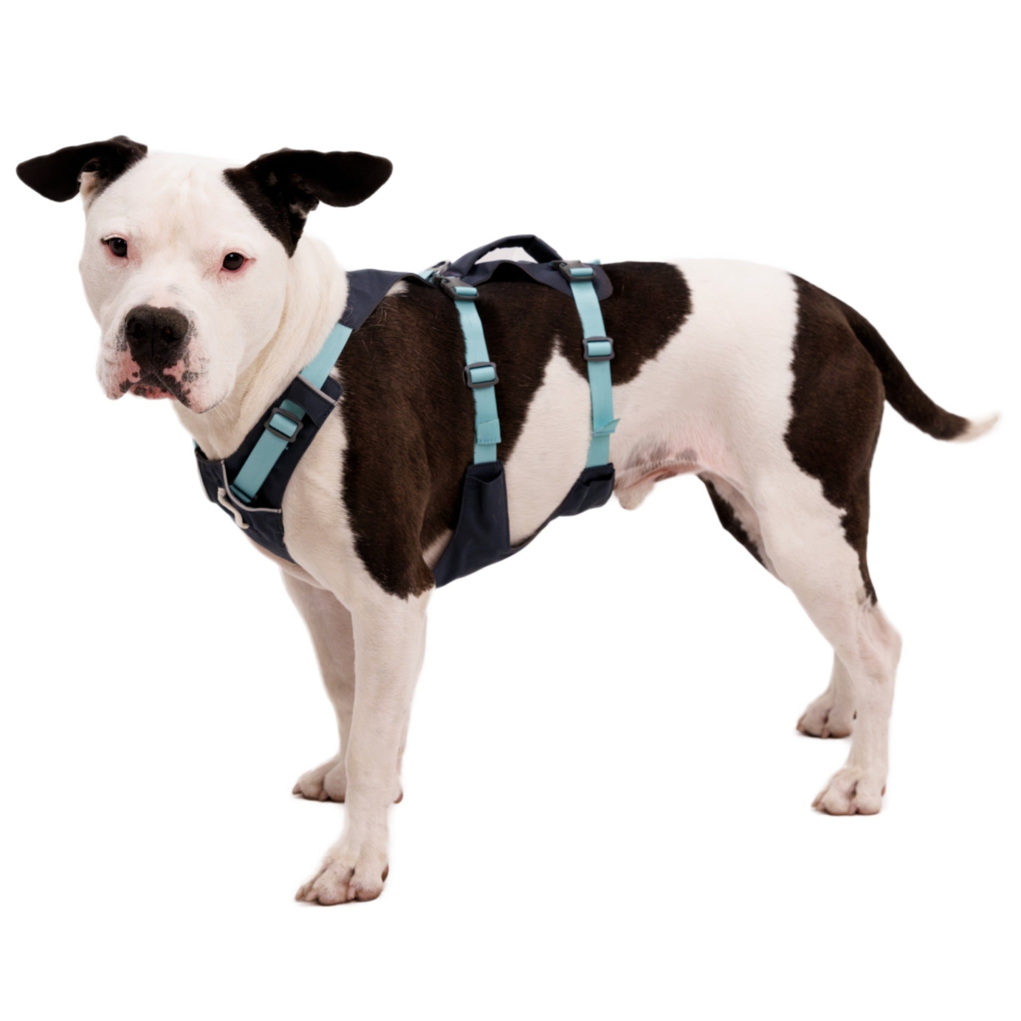 Ruffwear Flagline Harness, Hundegeschirr - Woofshack