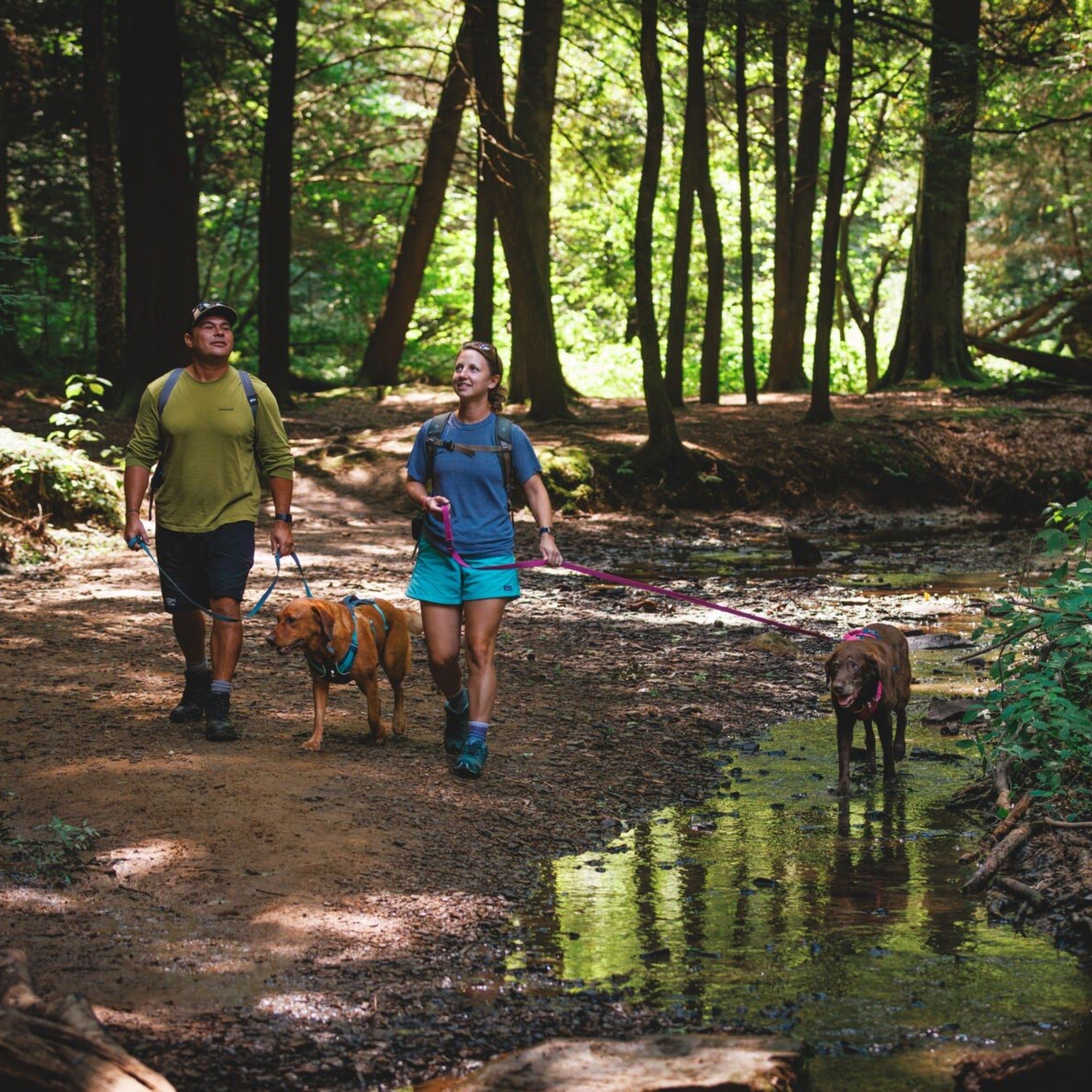 Ruffwear Flagline Harness, Hundegeschirr - Woofshack